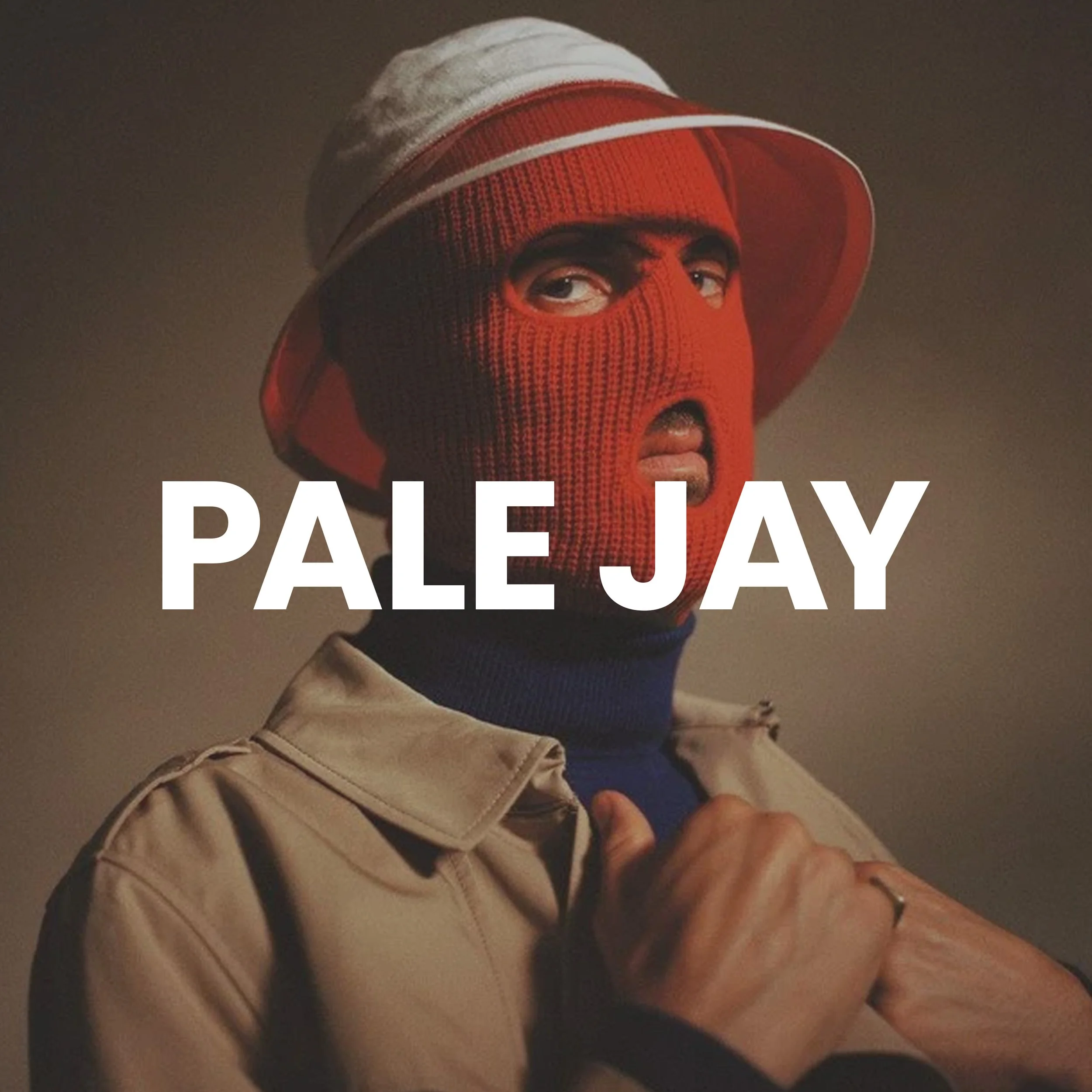 PALE JAY.jpg