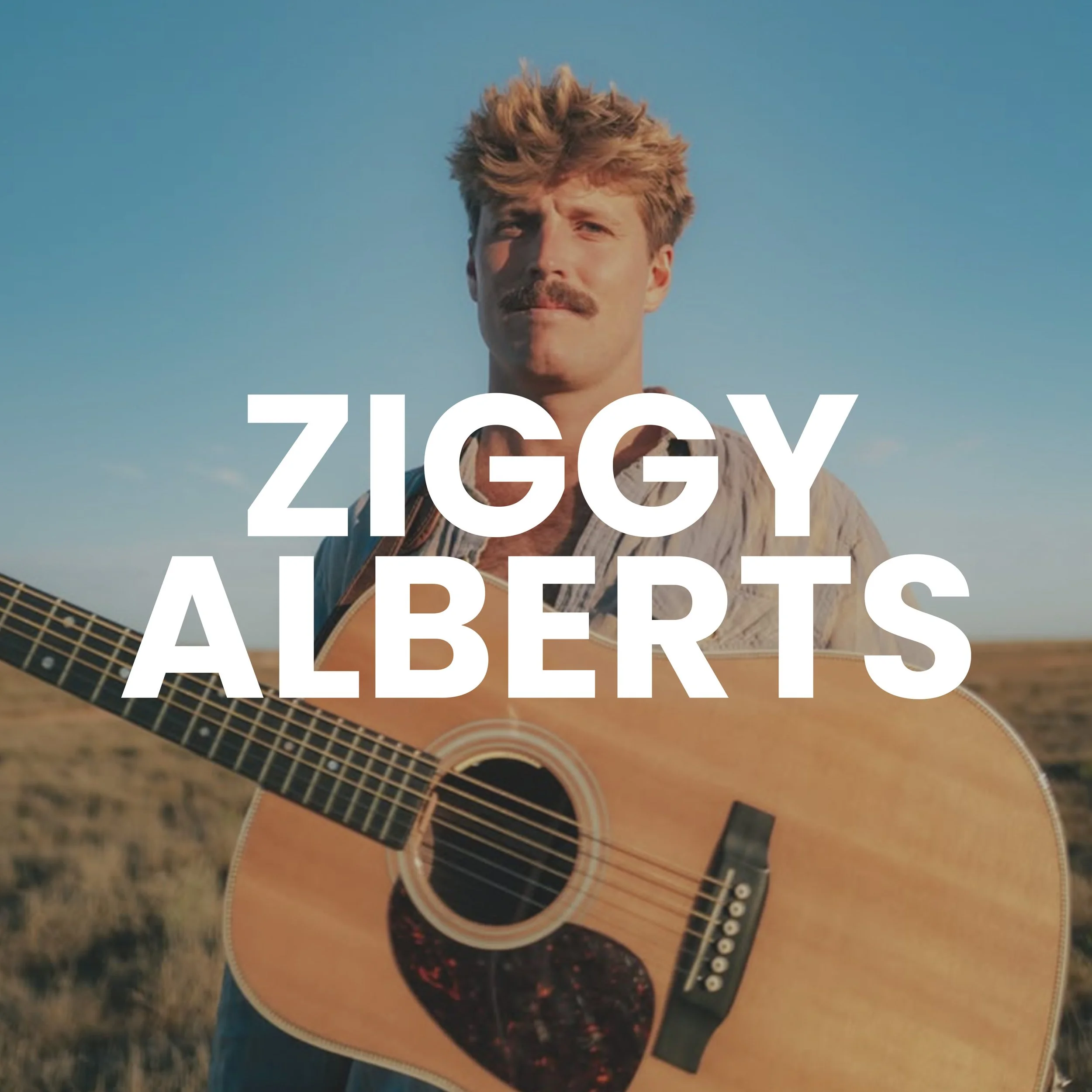 ZIGGY ALBERTS.jpg