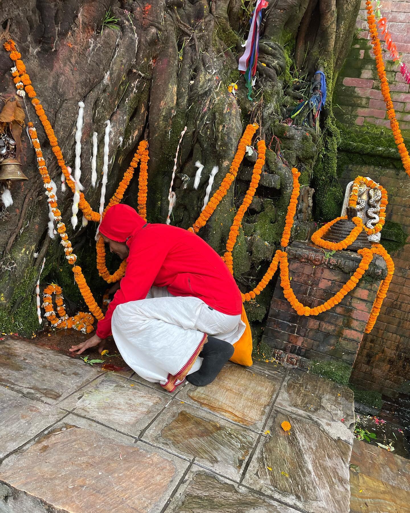 Familiar feelings of home among these places, spaces and kindred spirits in Kathmandu. I&rsquo;ve been reflecting on my travels so far and the lessons I&rsquo;ve learned through encountering the many teachers disguised as blessings and challenges - f