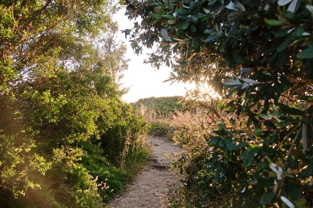 KiMaya Collective Newsletter : A Monthly Map (Online)