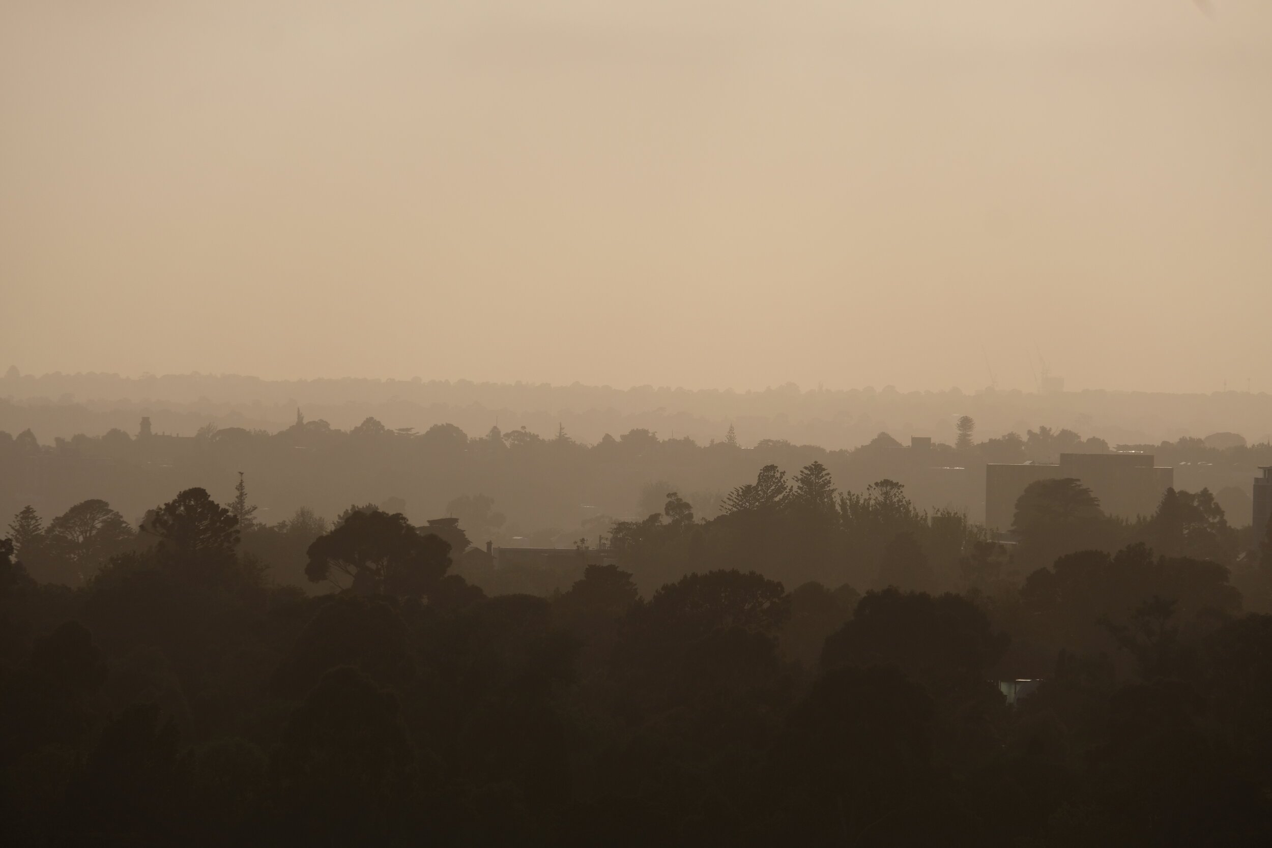 Haze over Kings Domain, Melbourne