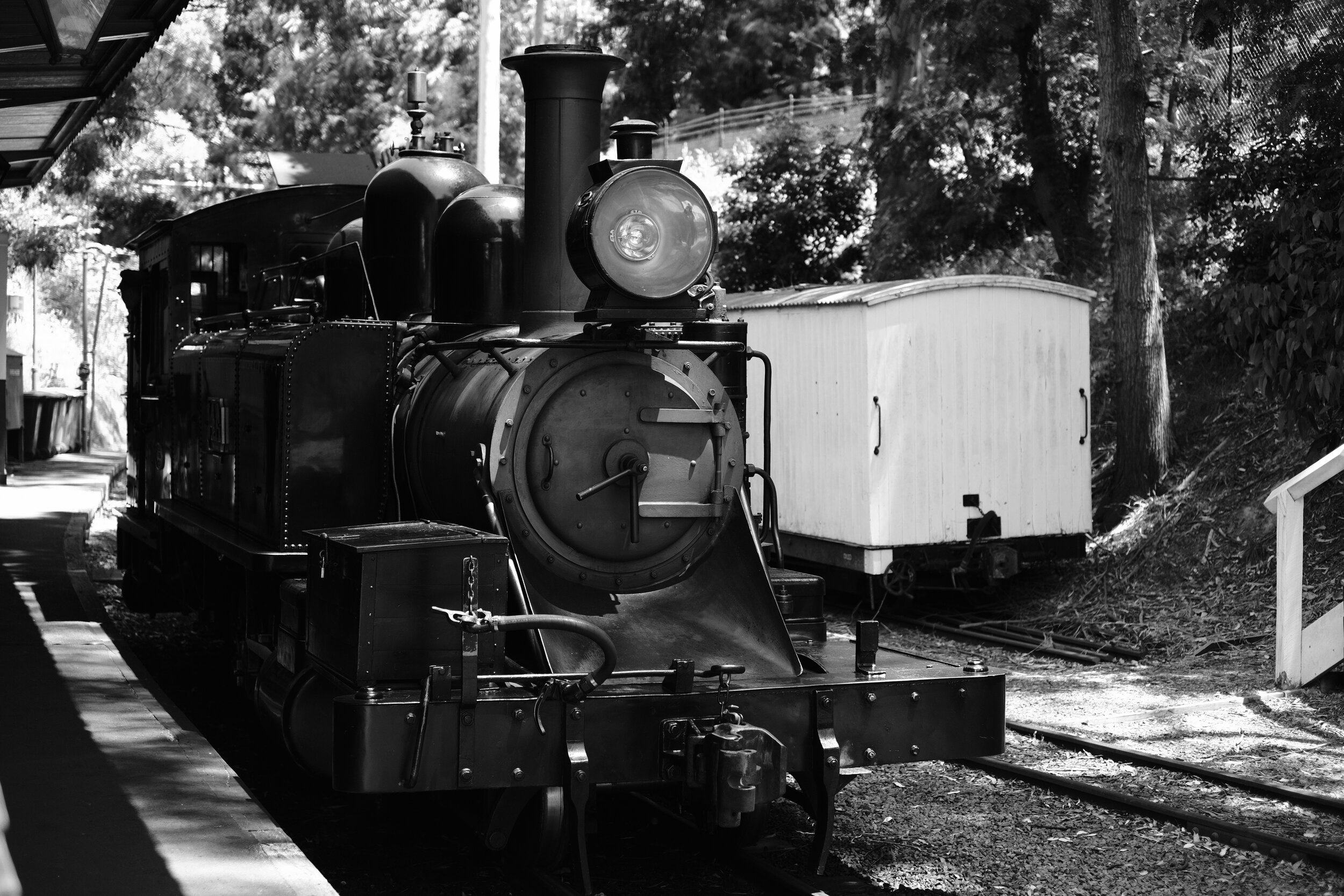 Puffing Billy, Dandenong, Victoria