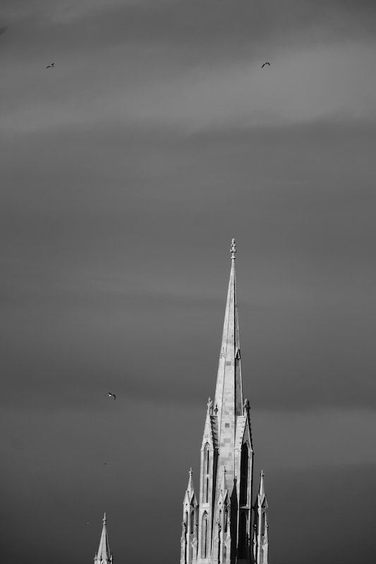 First Church spire, Dunedin