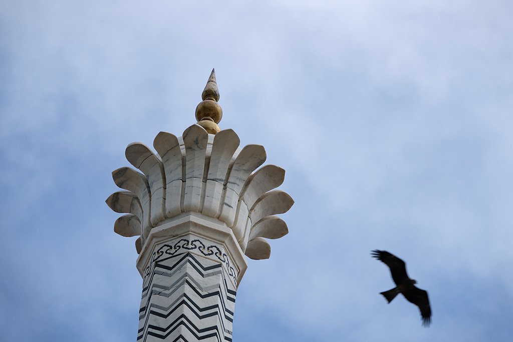 A Black Kite and one of the spires on the Taj Mahal