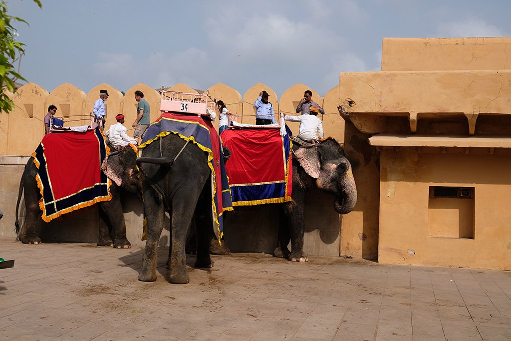 Elephant Delivery System