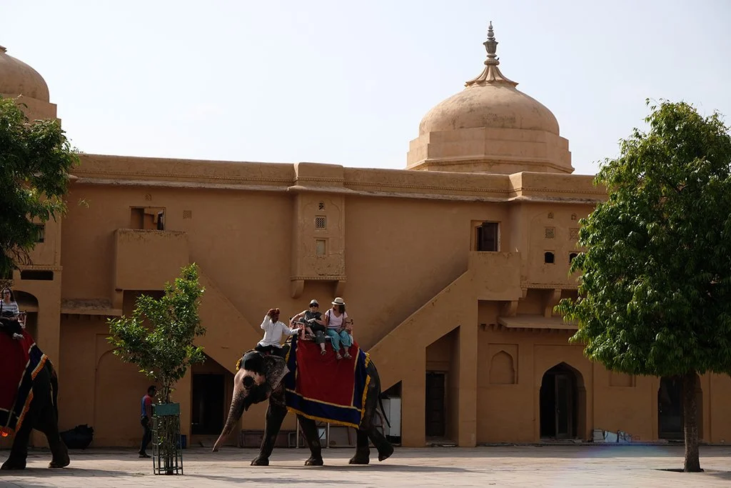 Elephant Rides