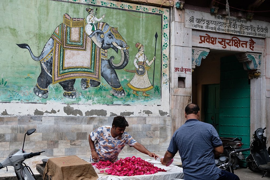 Flowers for prayer offerings, Jodhpur
