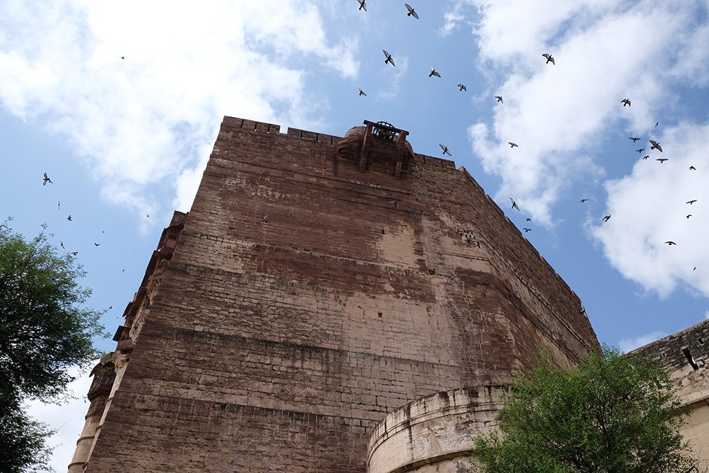 Always birds in the photo, Merangarh Fort, Jodhpur