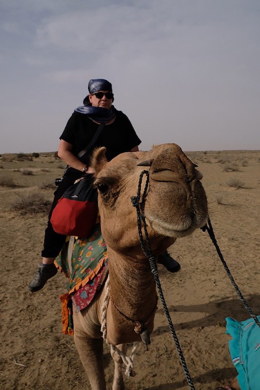 Friendly Camel, Thar Desert