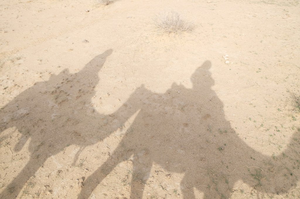 Camel shadows, Thar Desert