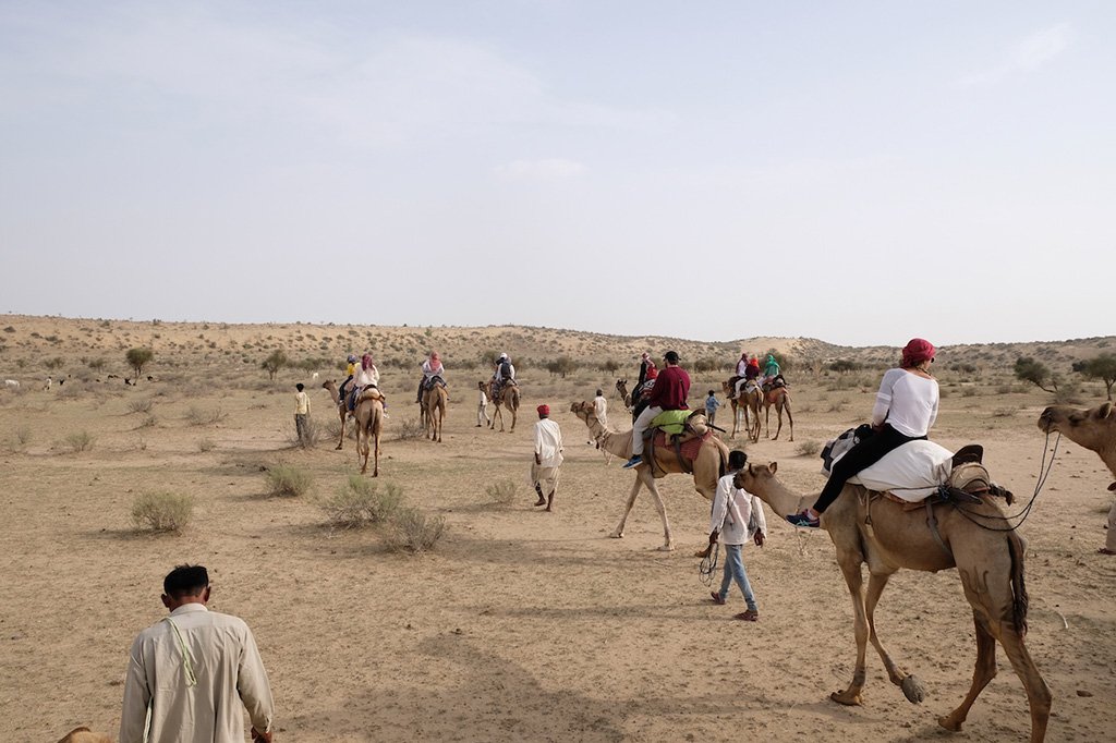 Camel train, Thar Desert
