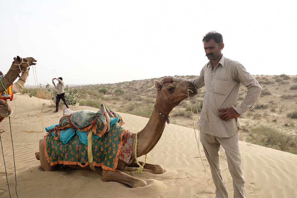 Our Camel driver, Thar Desert