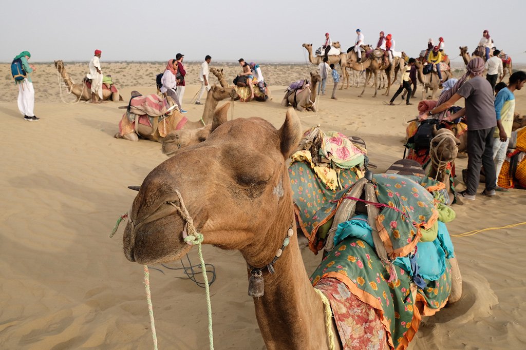 The Camel Crew resting