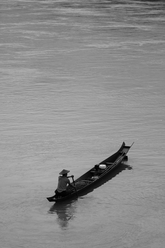 Morning fish, on the Mekong