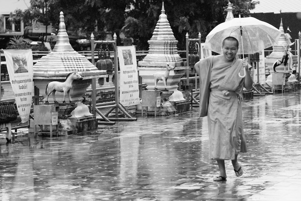 Monk with umbrella