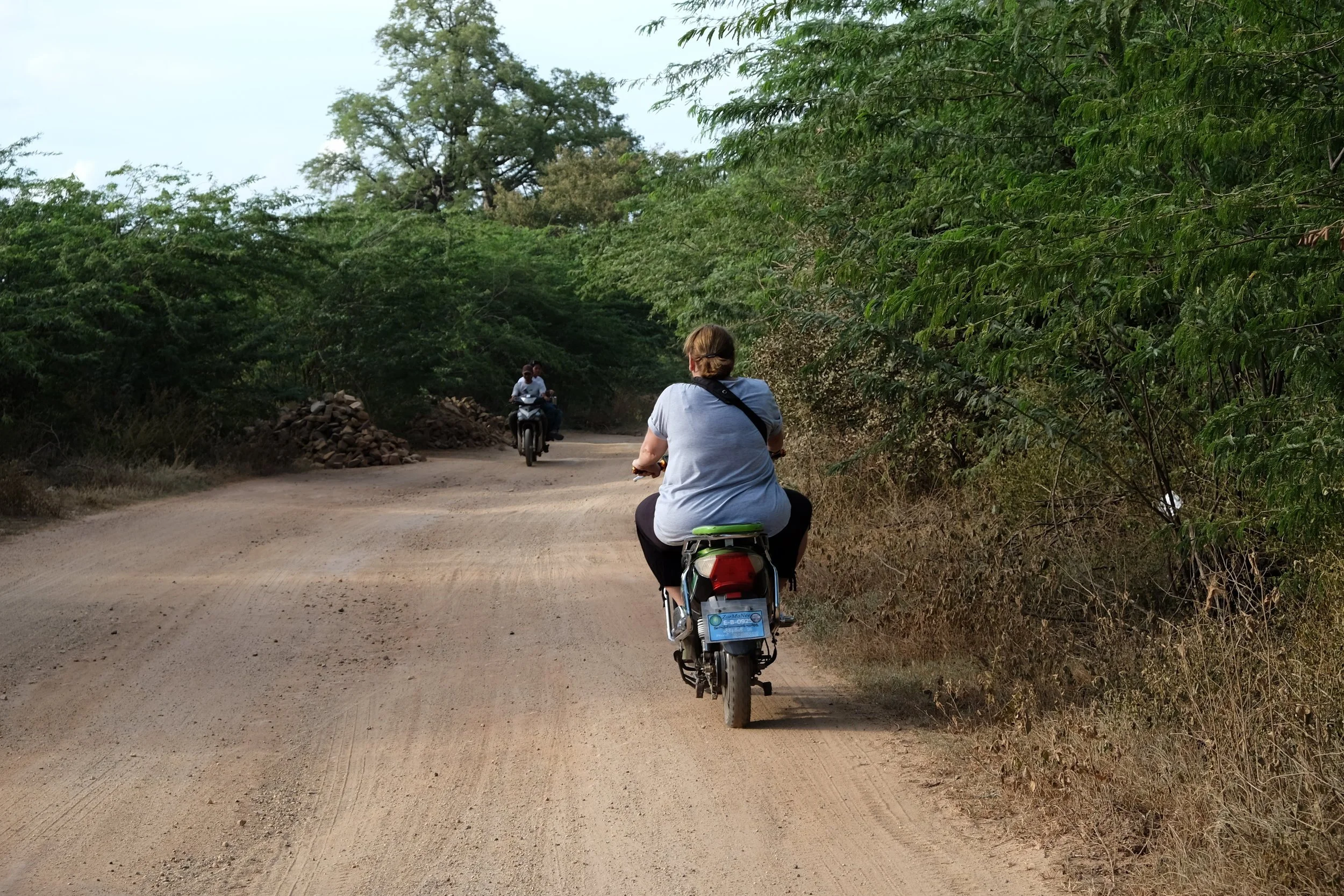 Ebiking