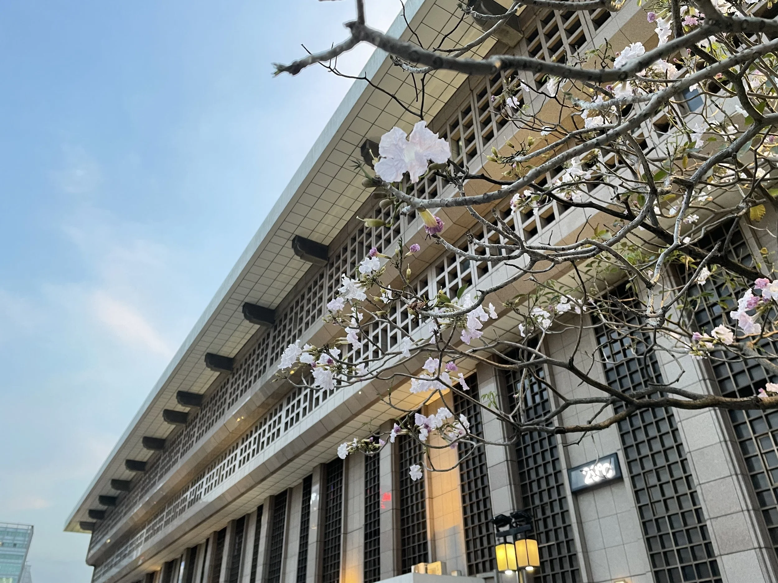 South Korea & Taiwan Blog 13: Kaohsiung to Taipei to Home