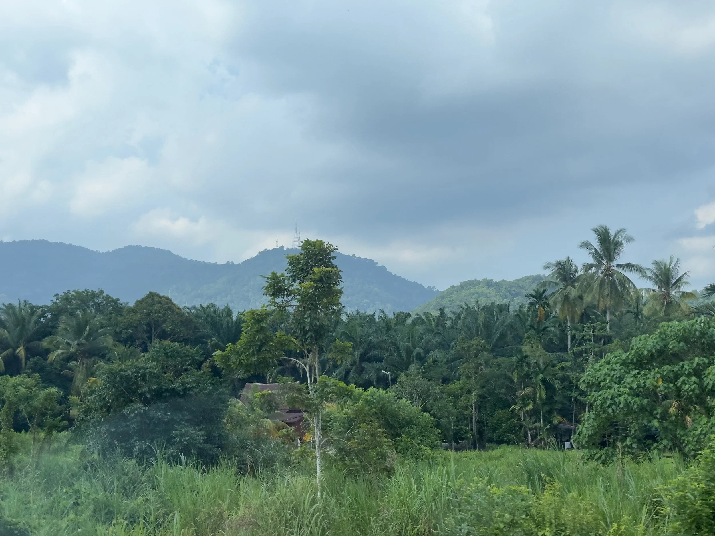 View from the train heading to KL
