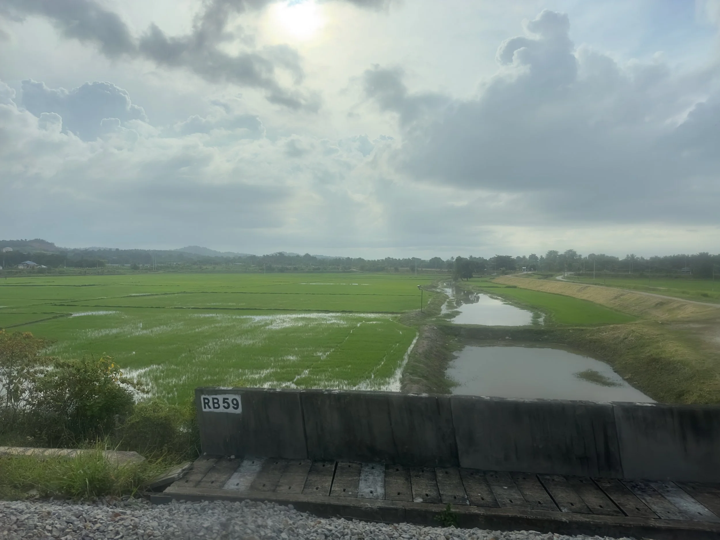 Flat land and Rice Fields, north of Butterworth