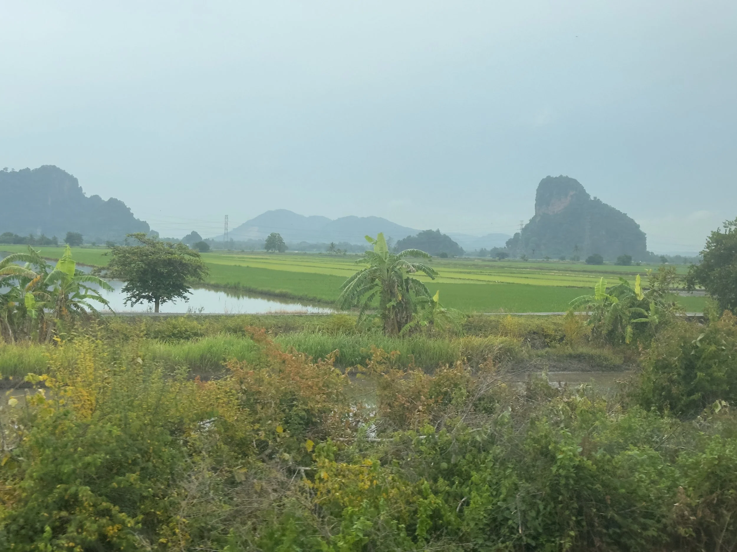 Limestone rock formations, near Padang Besar