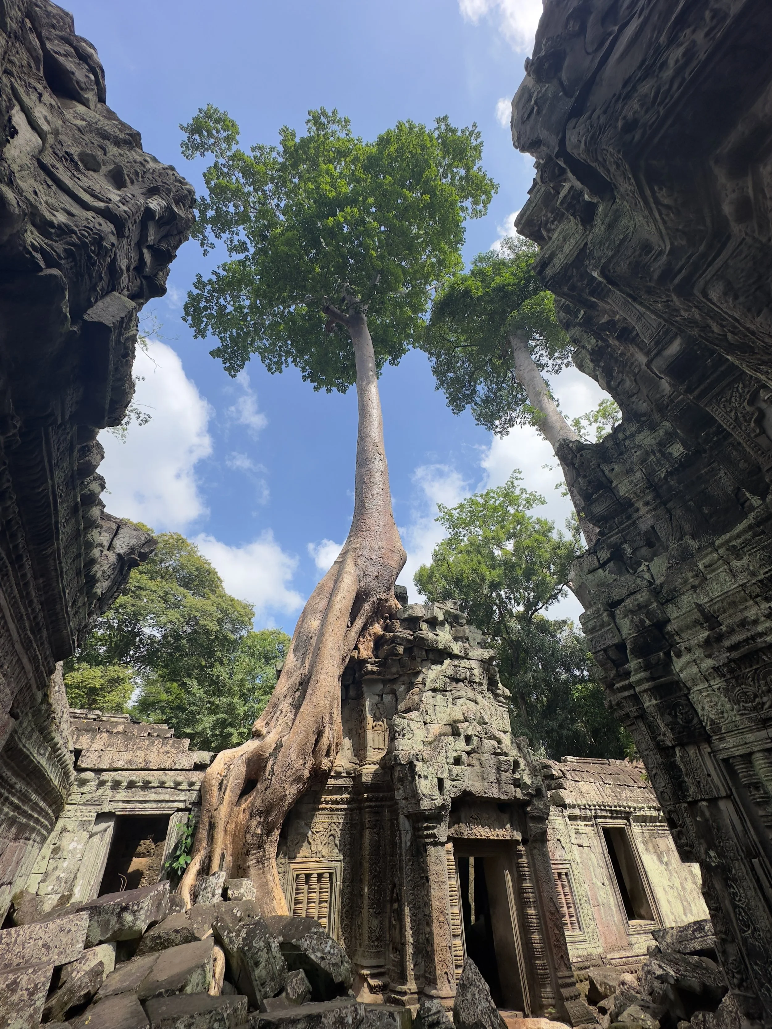 Classic Ta Prohm