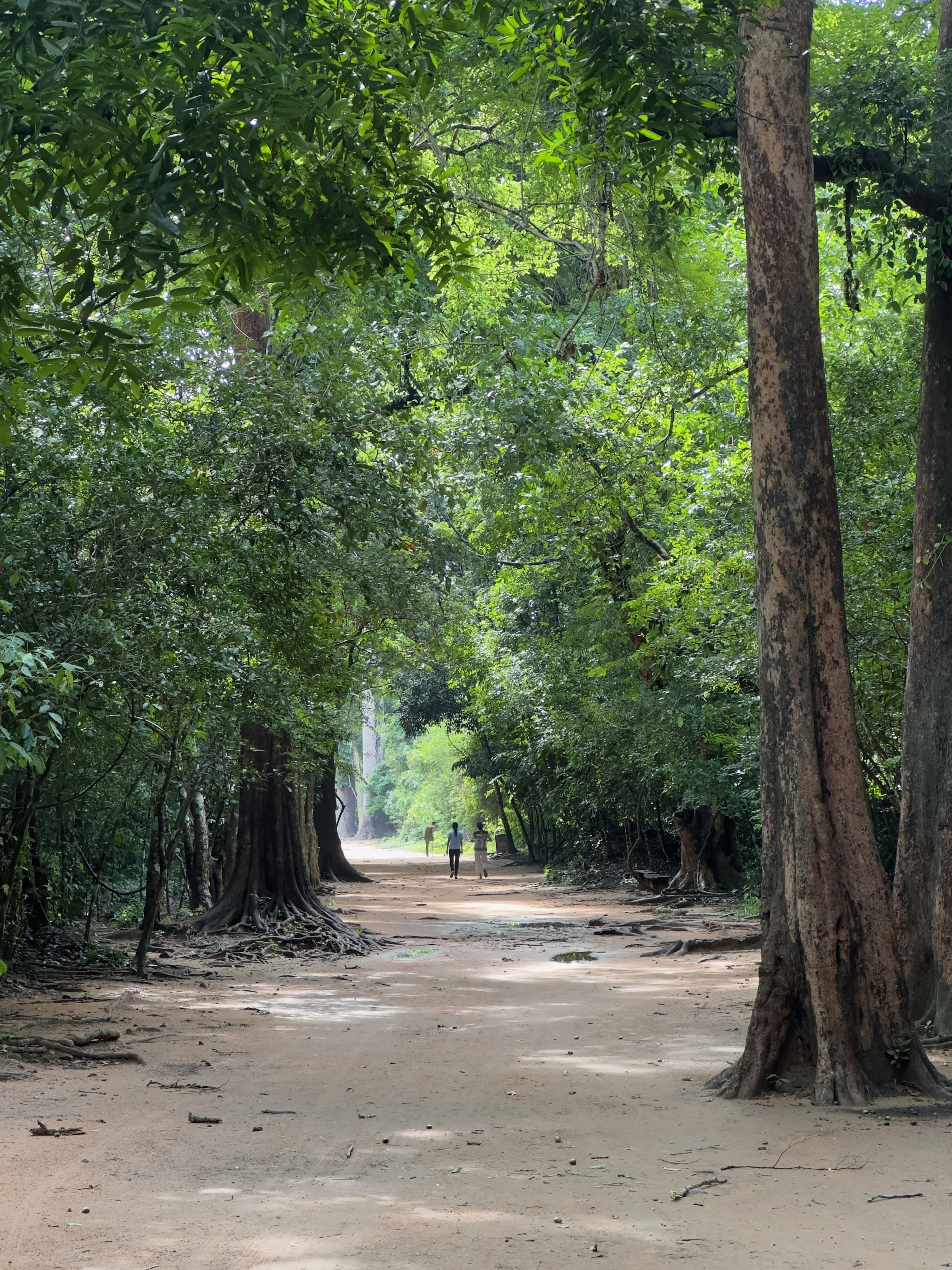 Walking down to Ta Prohm