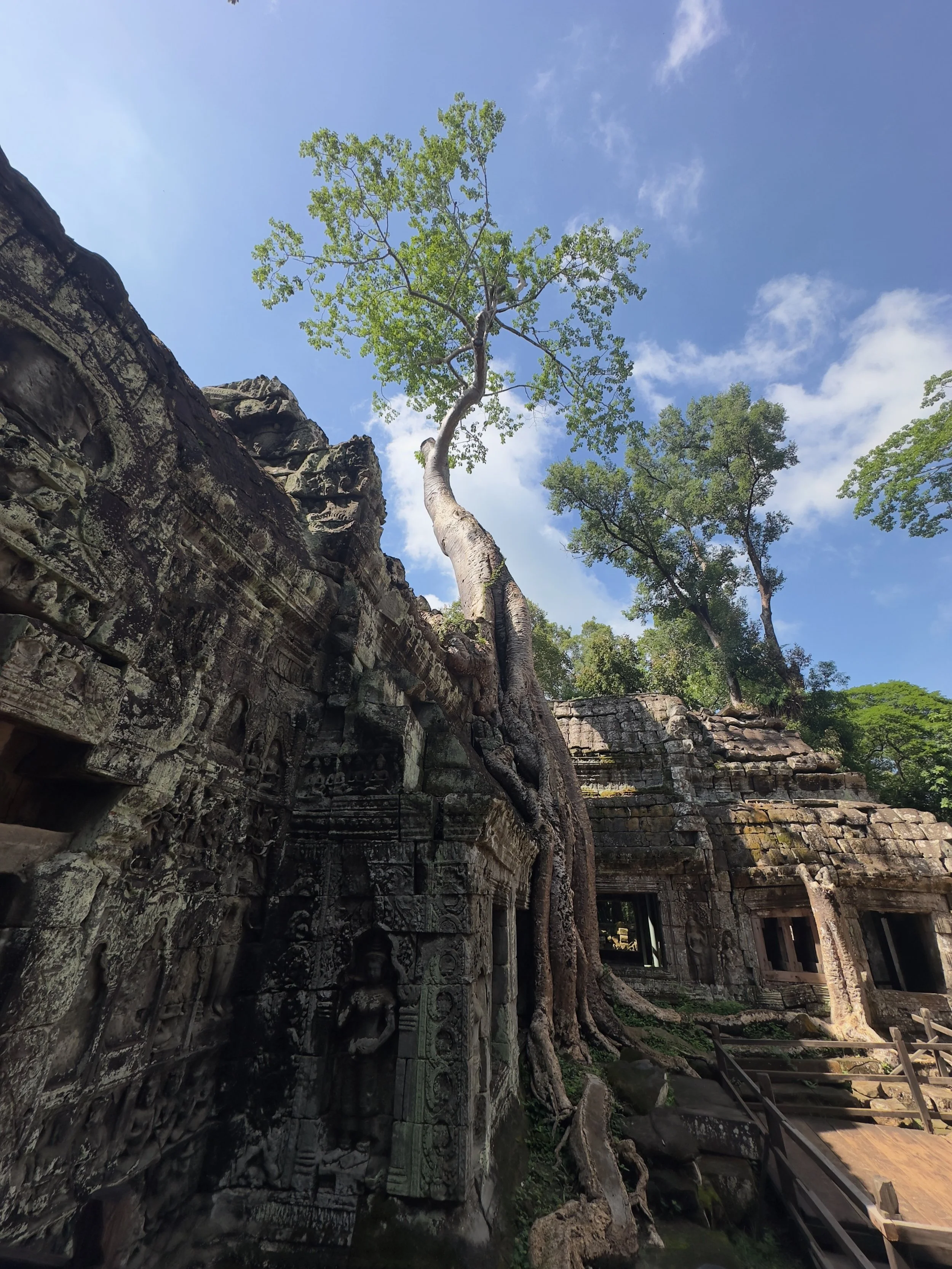 Ta Prohm