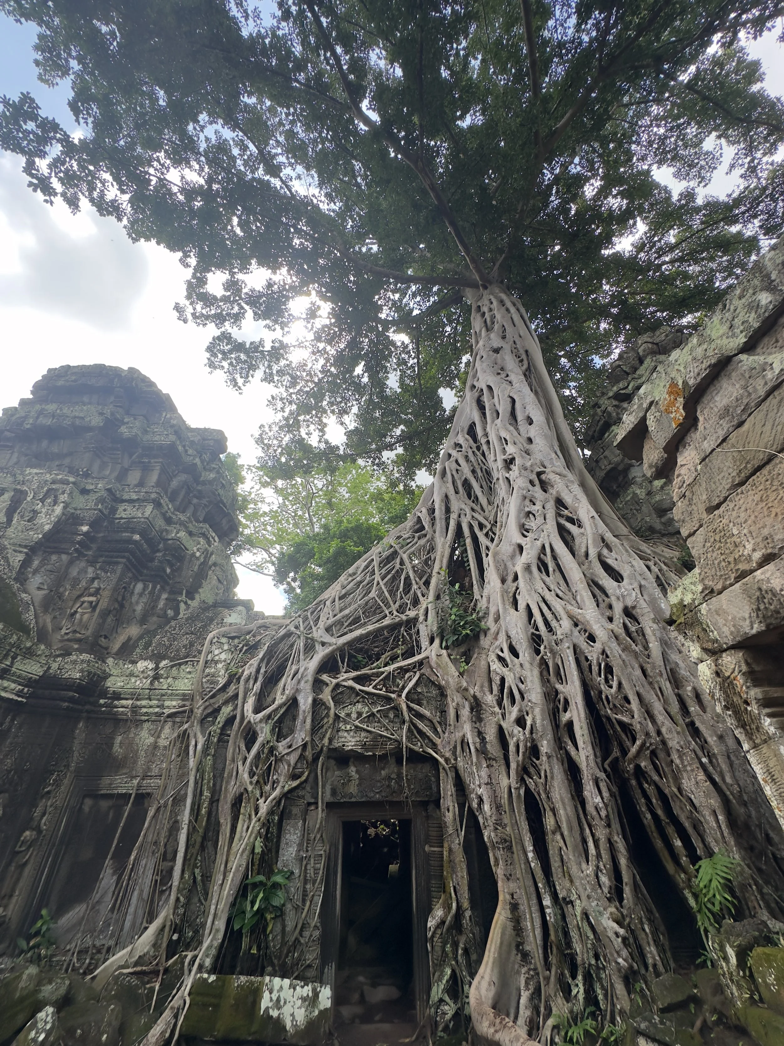 Ta Prohm