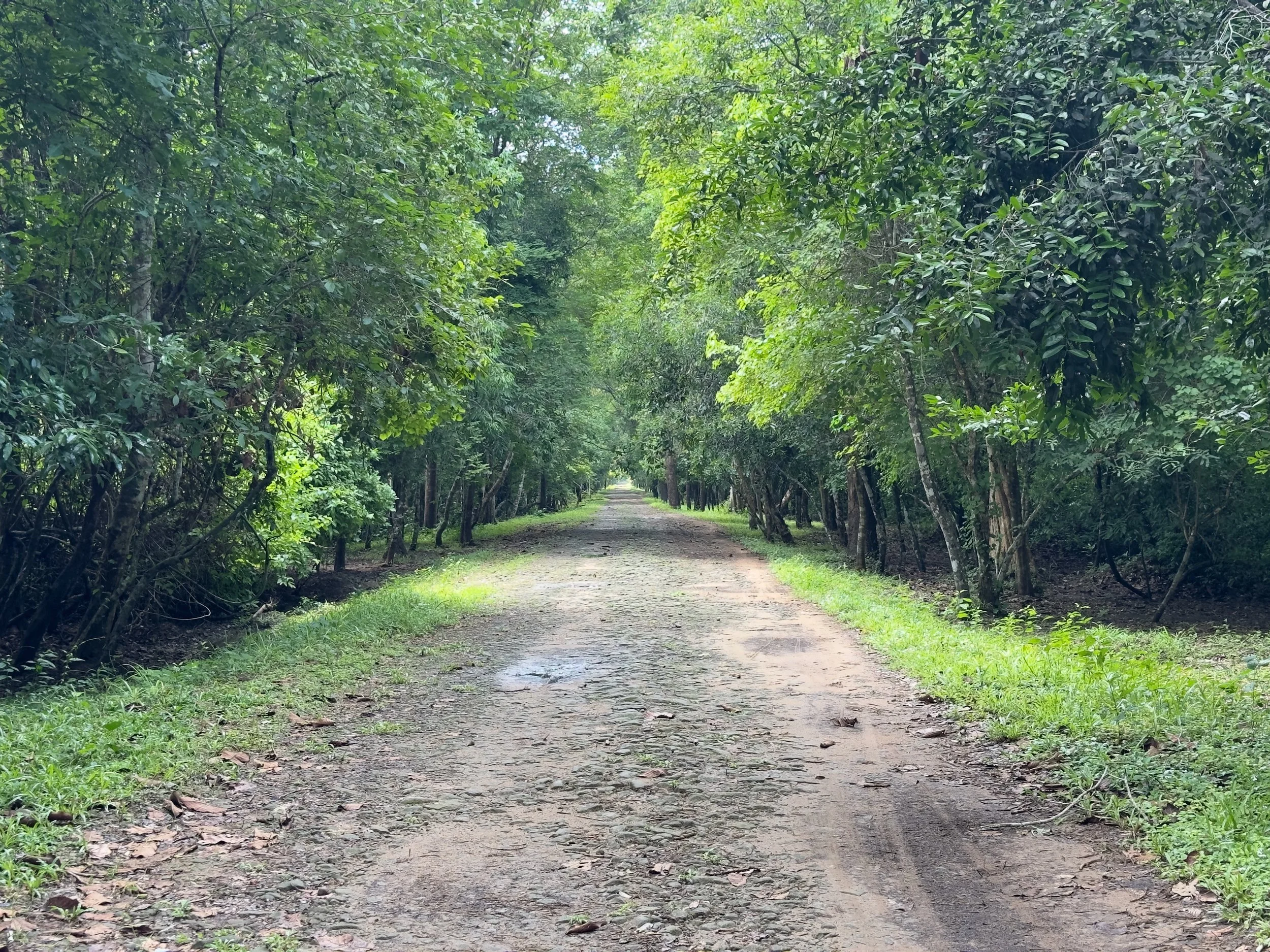 Riding down to Gate of the Dead