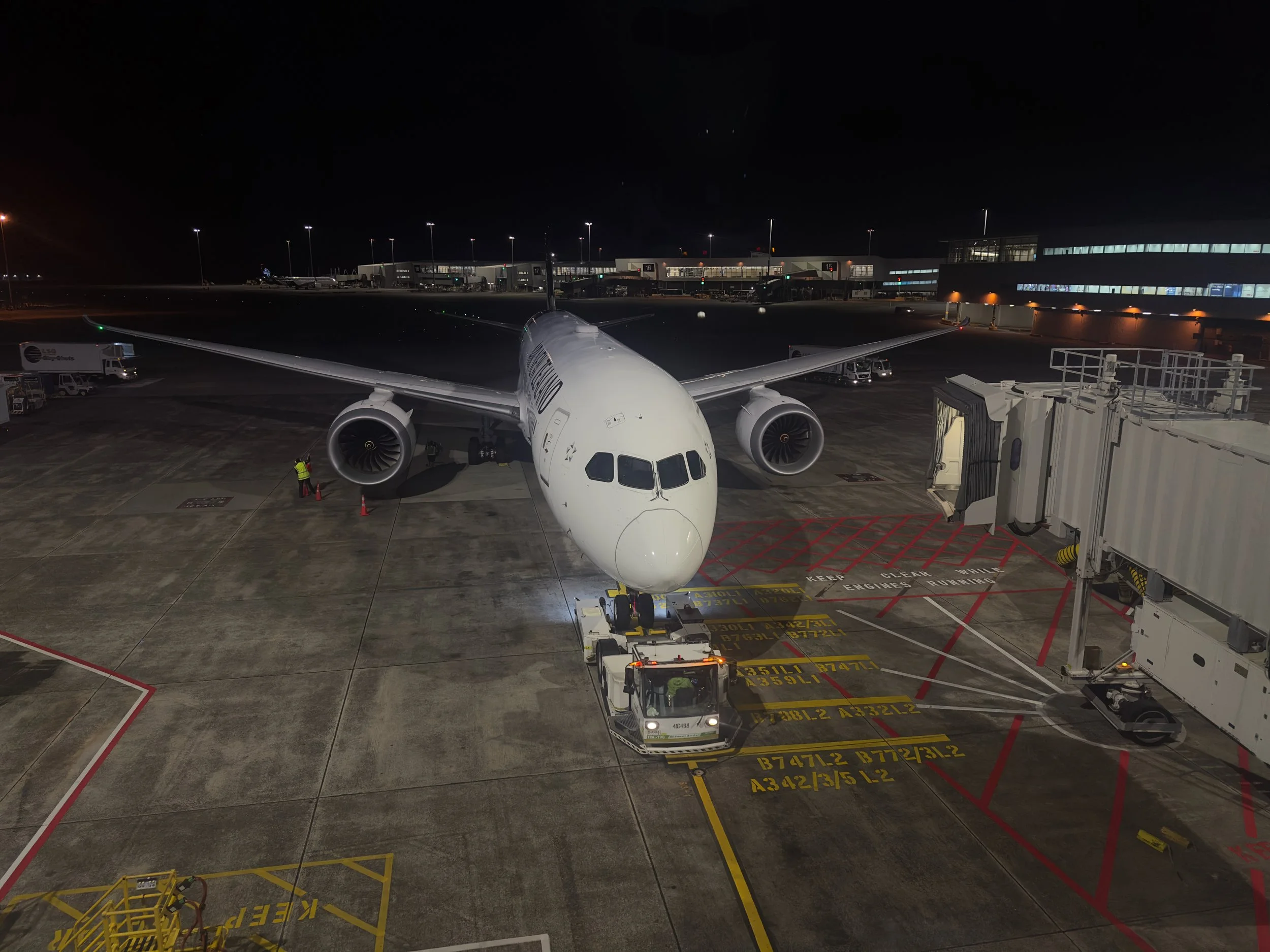 Plane #2: Auckland Airport