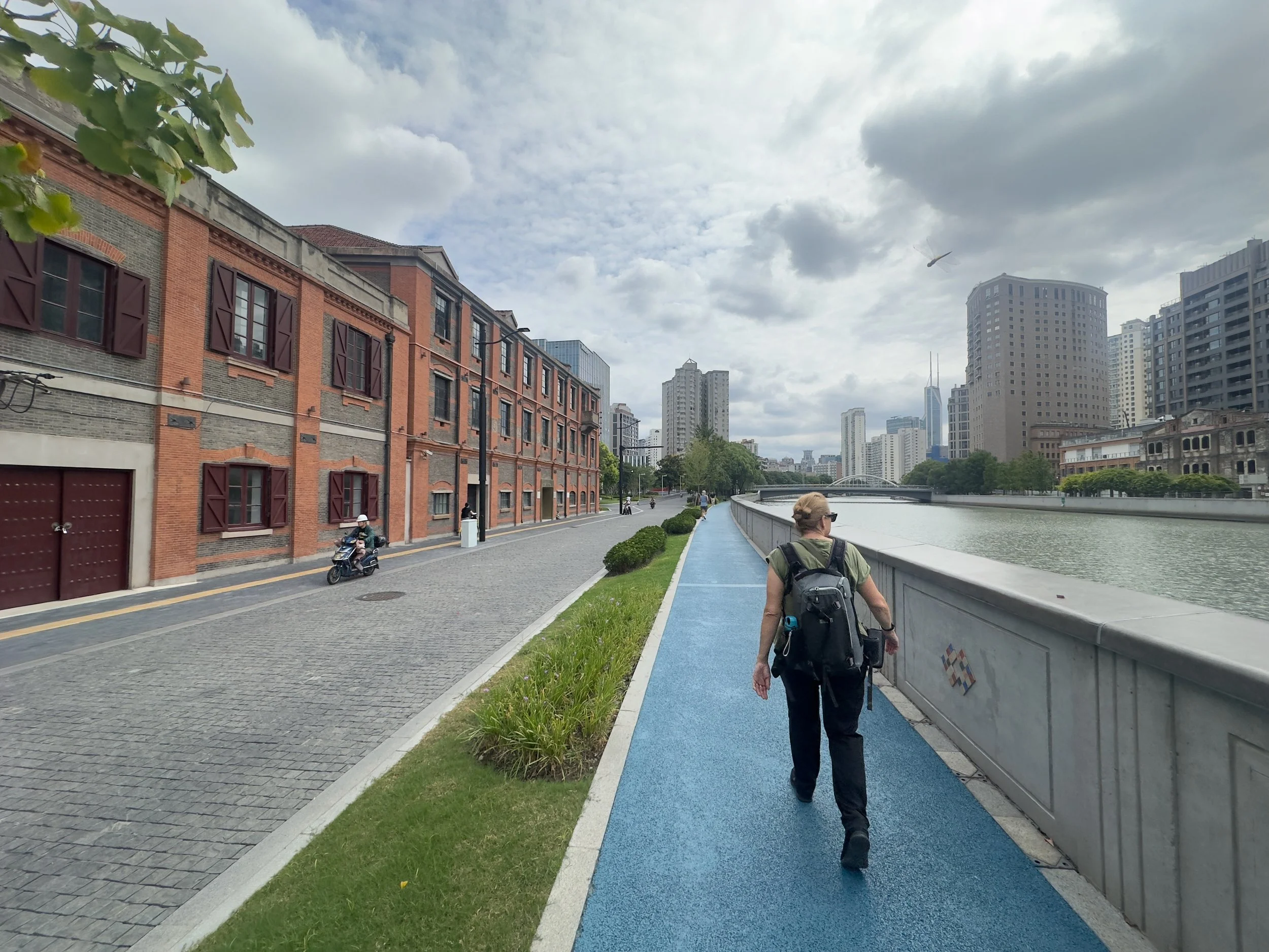 Walking the Wusong River ( spot the dragonfly )