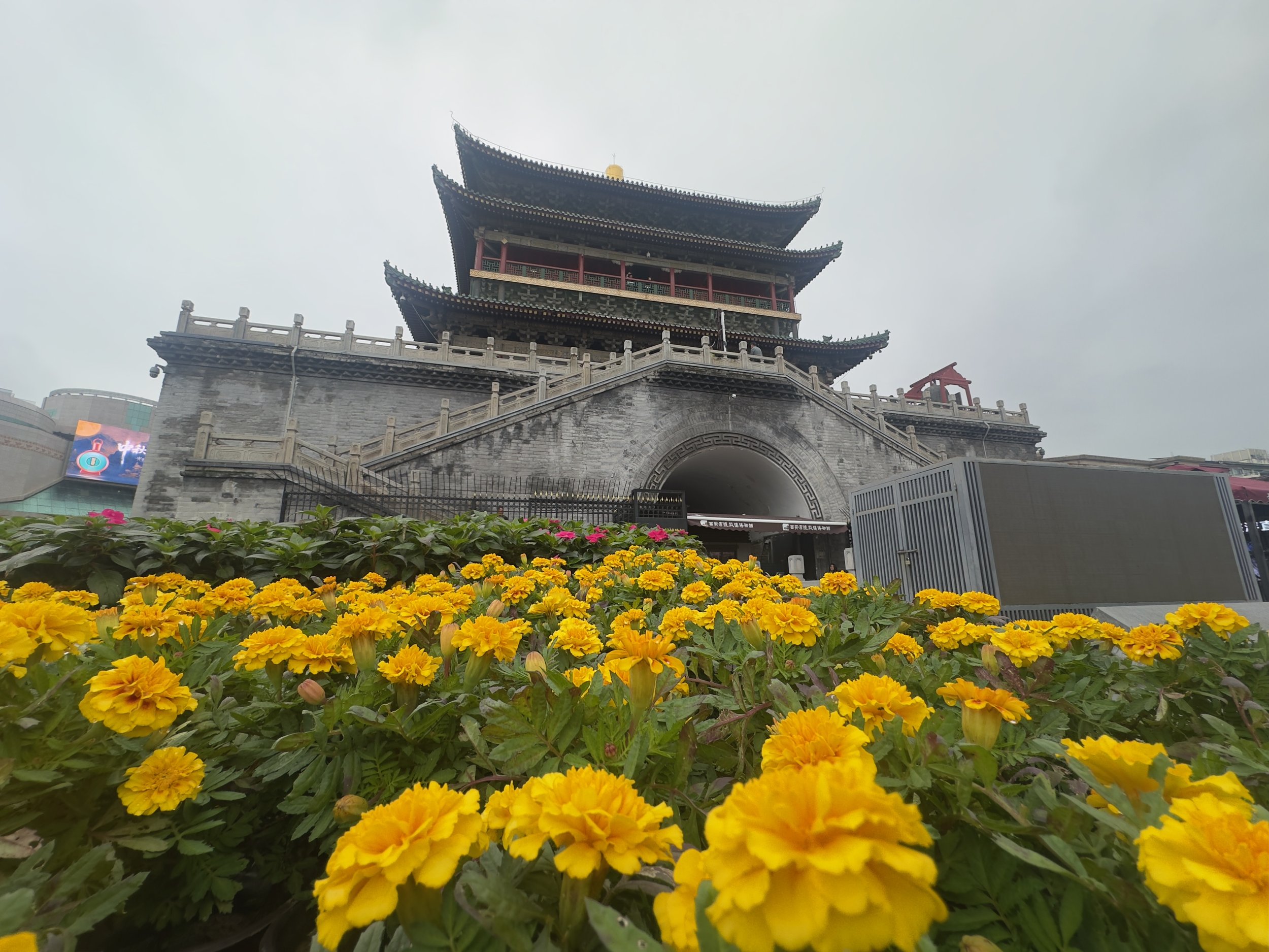 The Bell Tower and potted marigolds