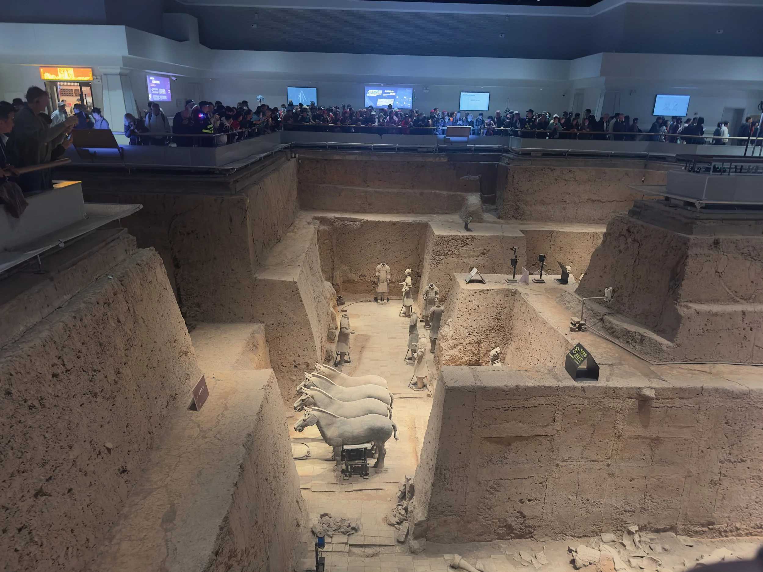 Horses at the base of the U - Pit 3