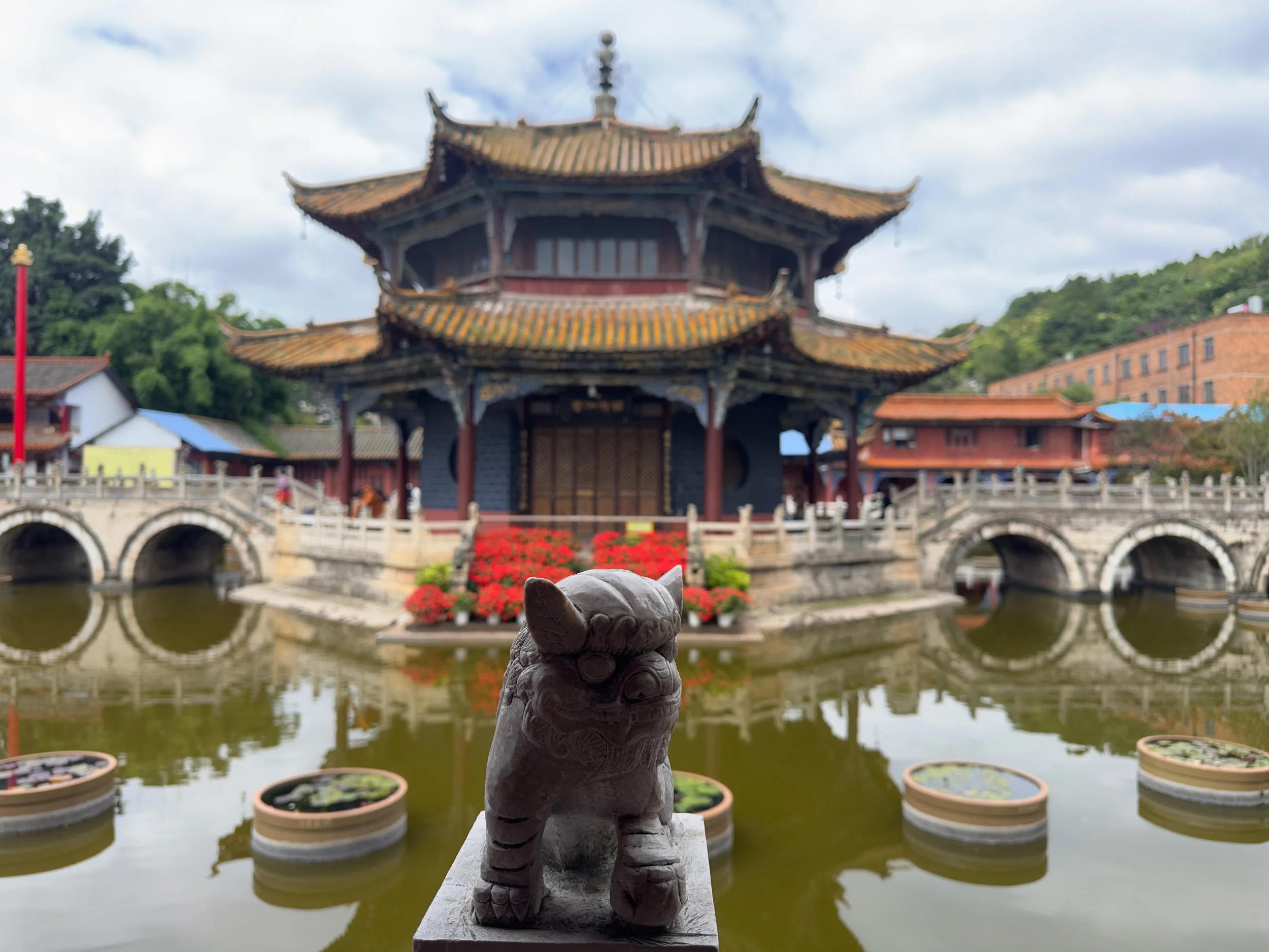 Frog, Yuantong Temple 