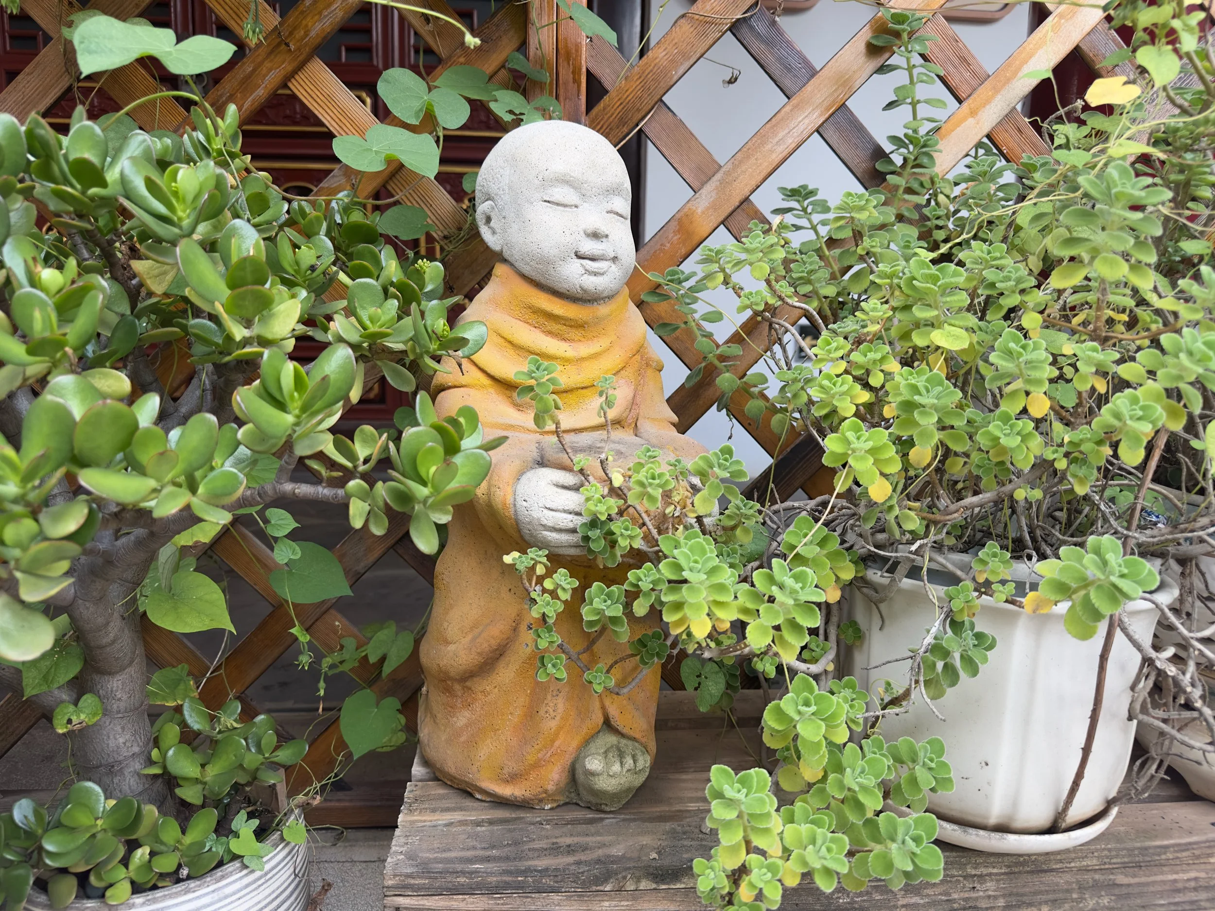 Little Buddha, Yuantong Temple 