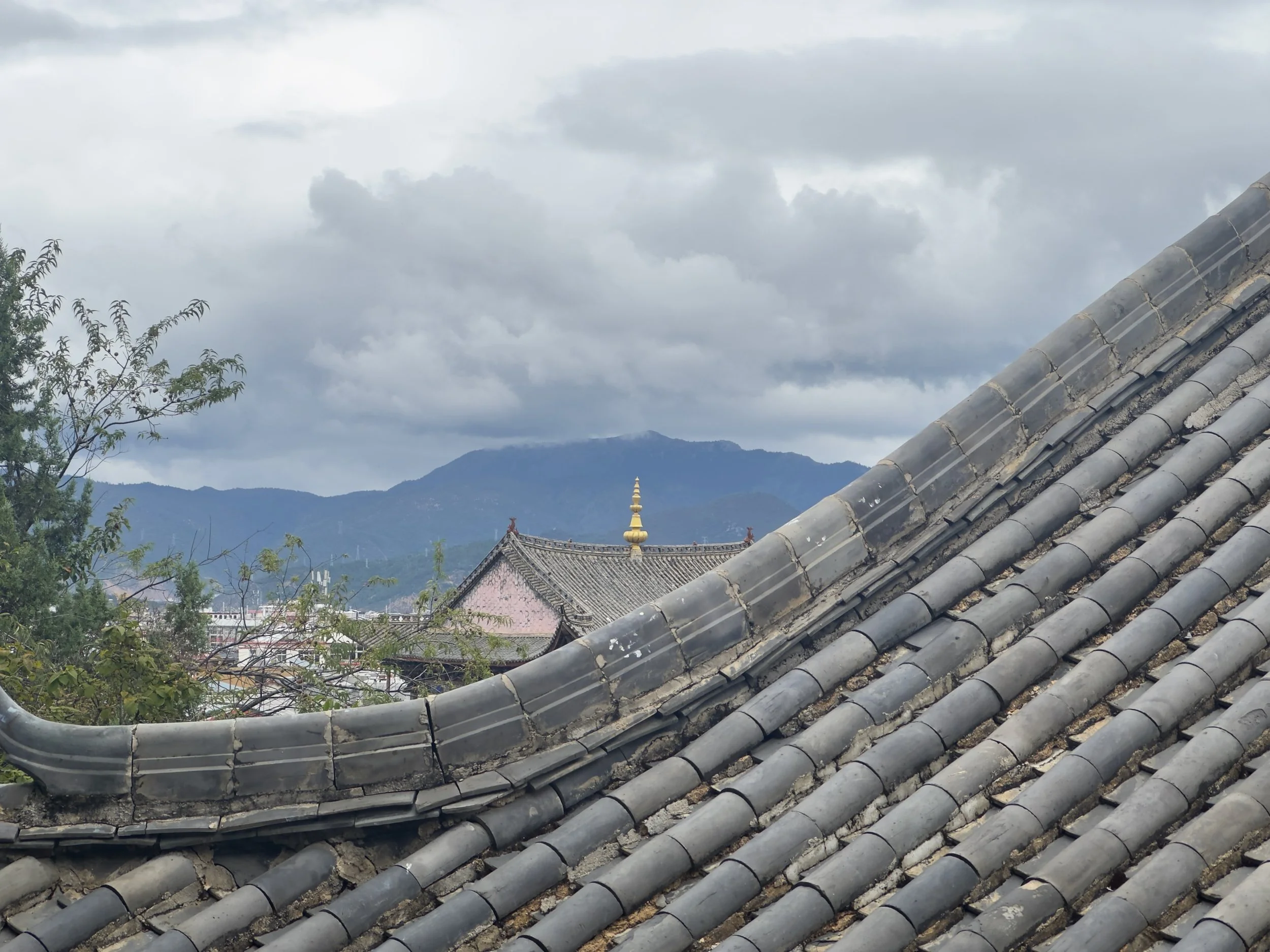 View over rooftops 