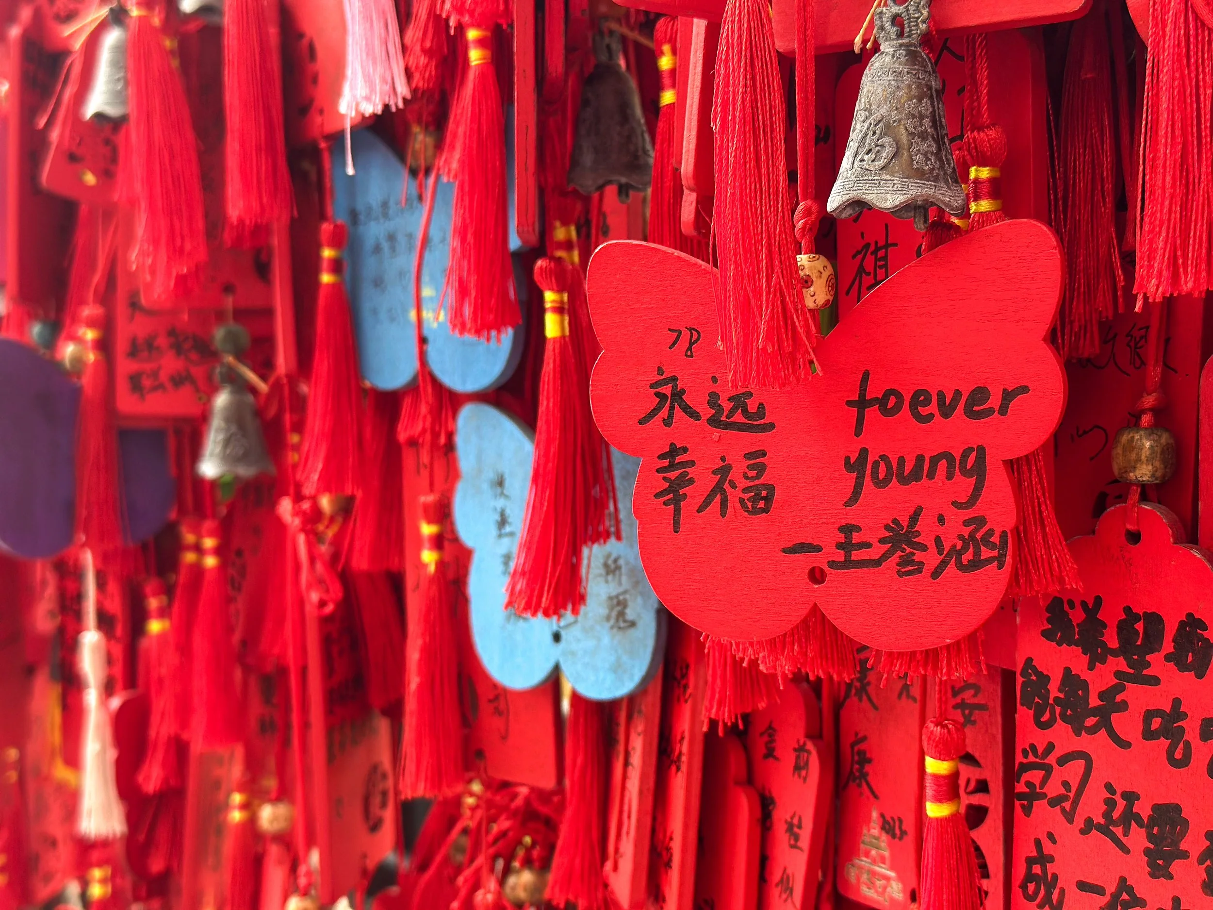 Day 11: Shangri-la to Kunming, Wednesday 1st October 2025