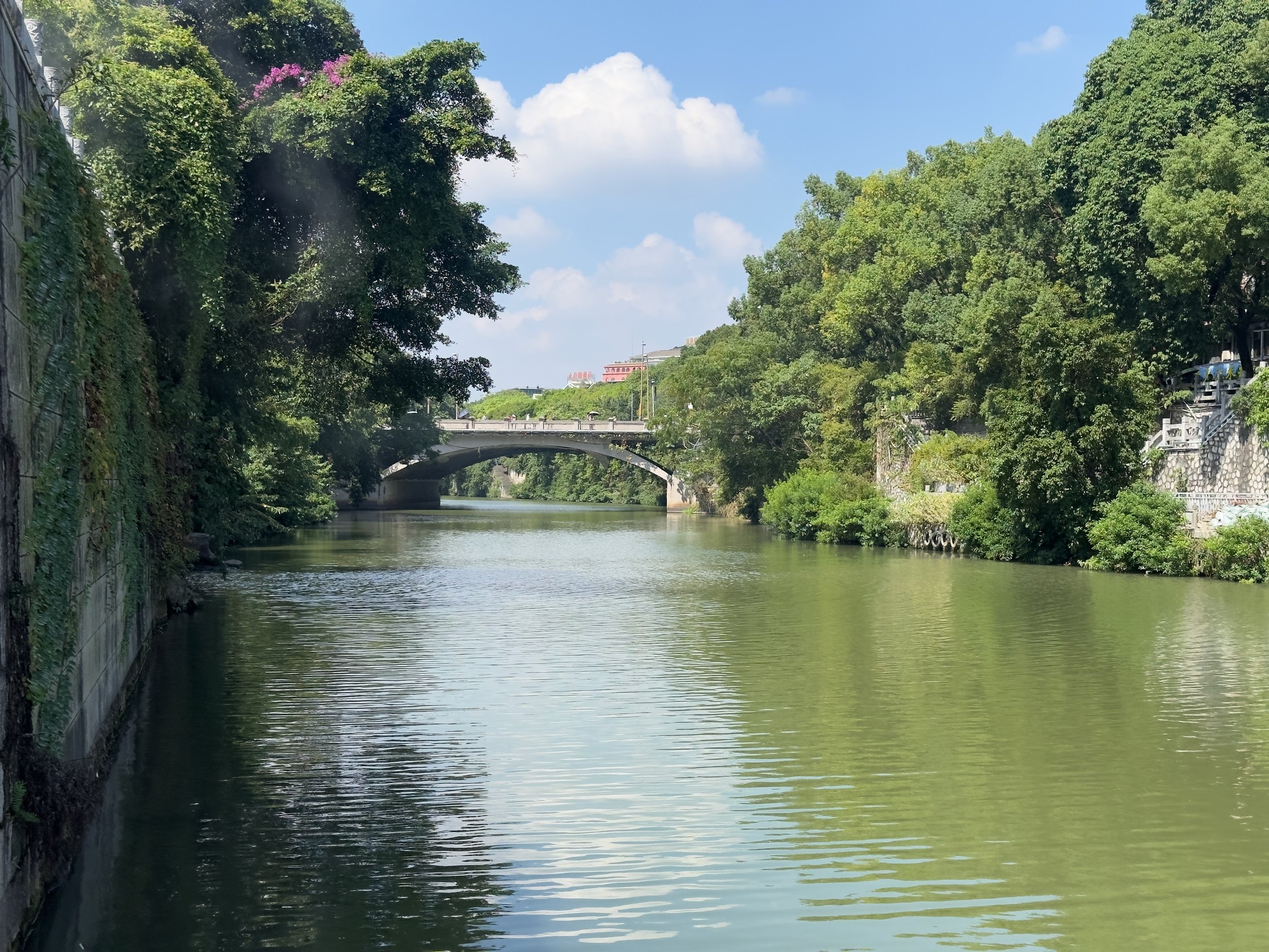 Looking up the Taohua Lijiang river 