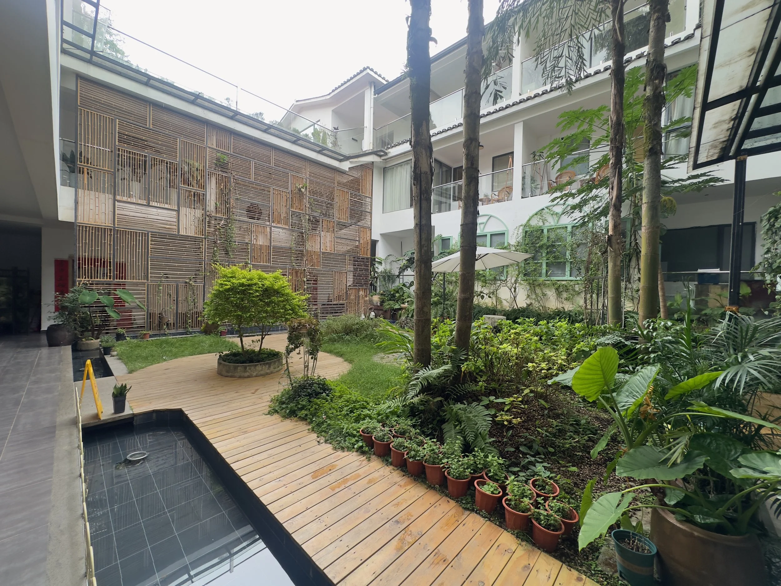 Internal courtyard, with resident turtle in the pond
