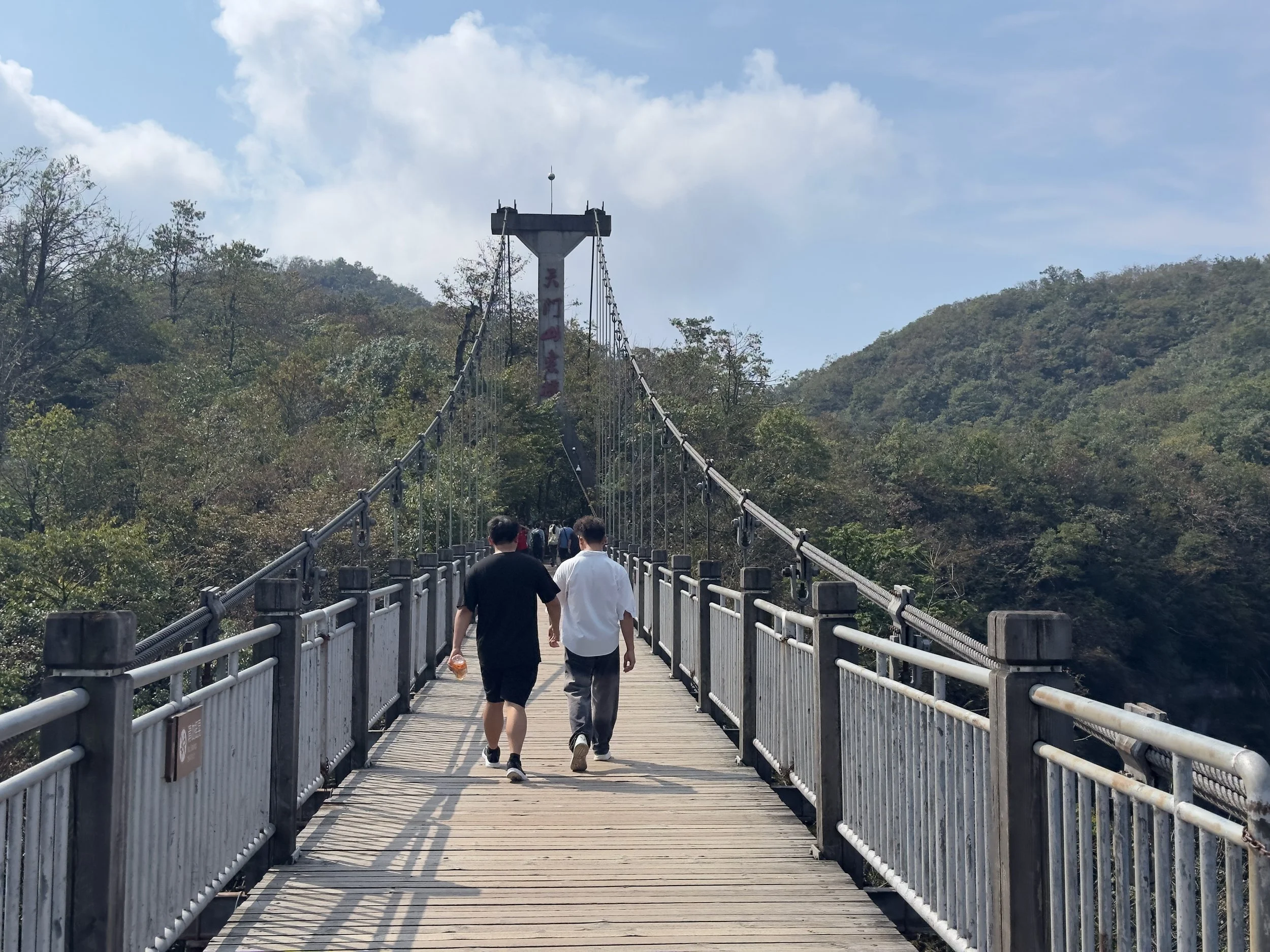 Suspension Bridge