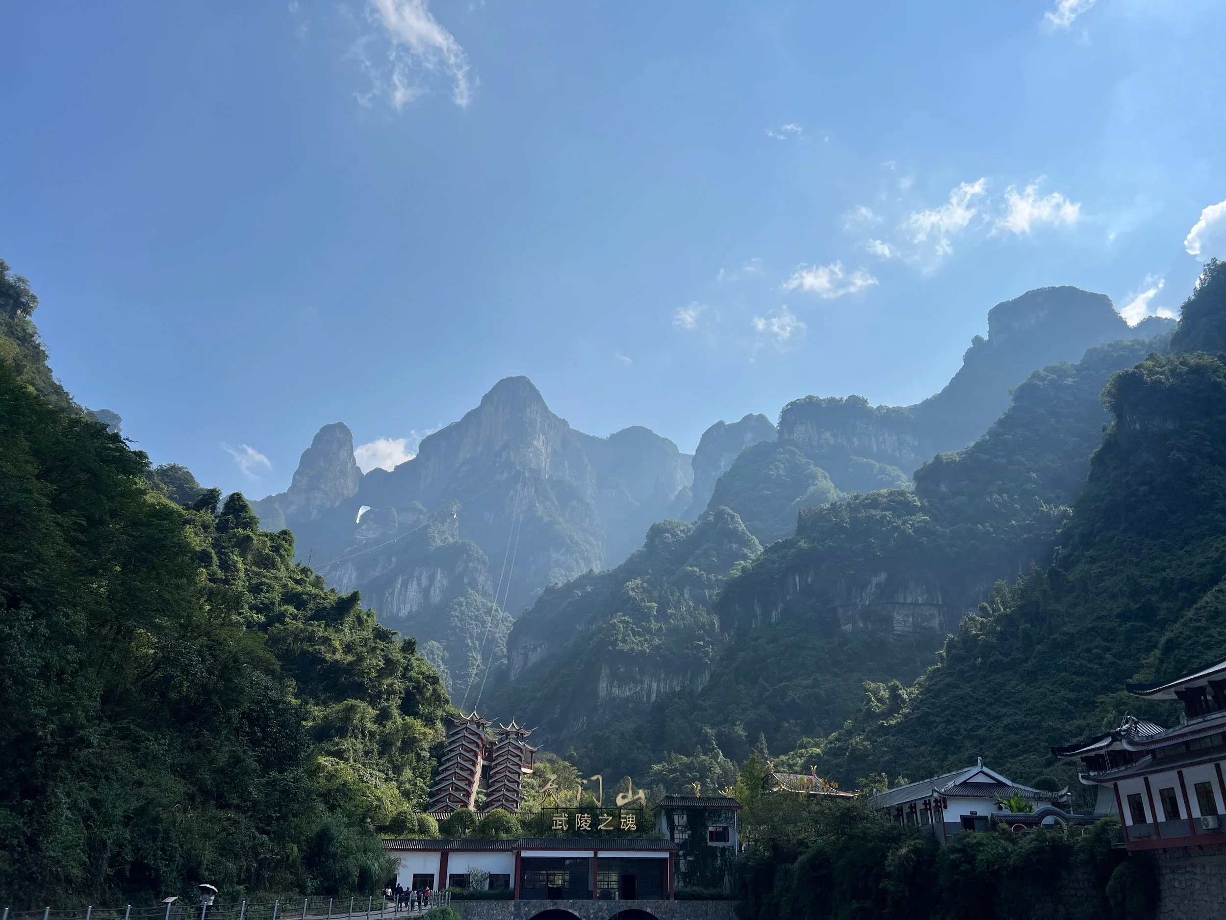 The backdrop for the Fairy Fox Show