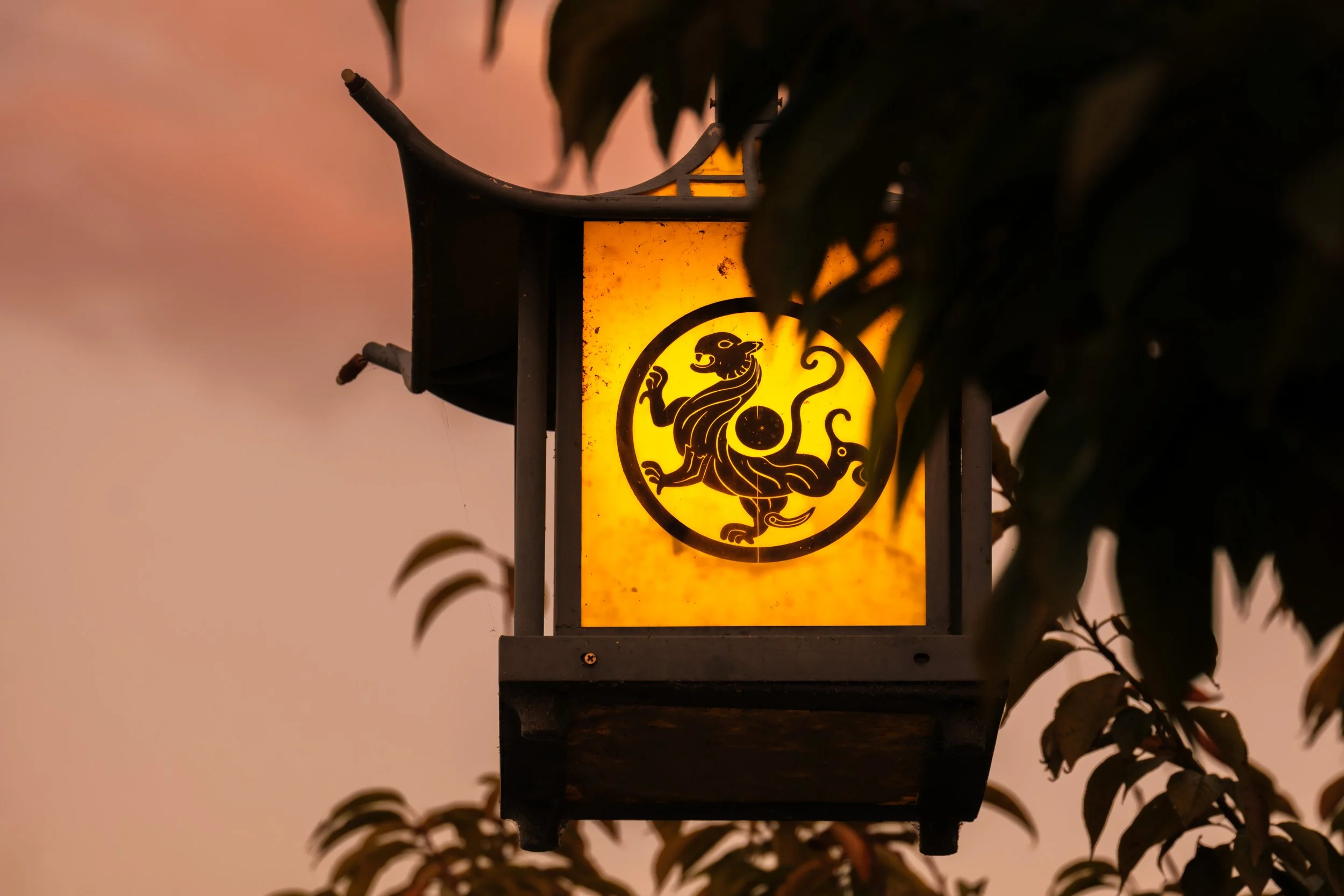 Day 20: Zhangjiajie, Friday 10th October 2025