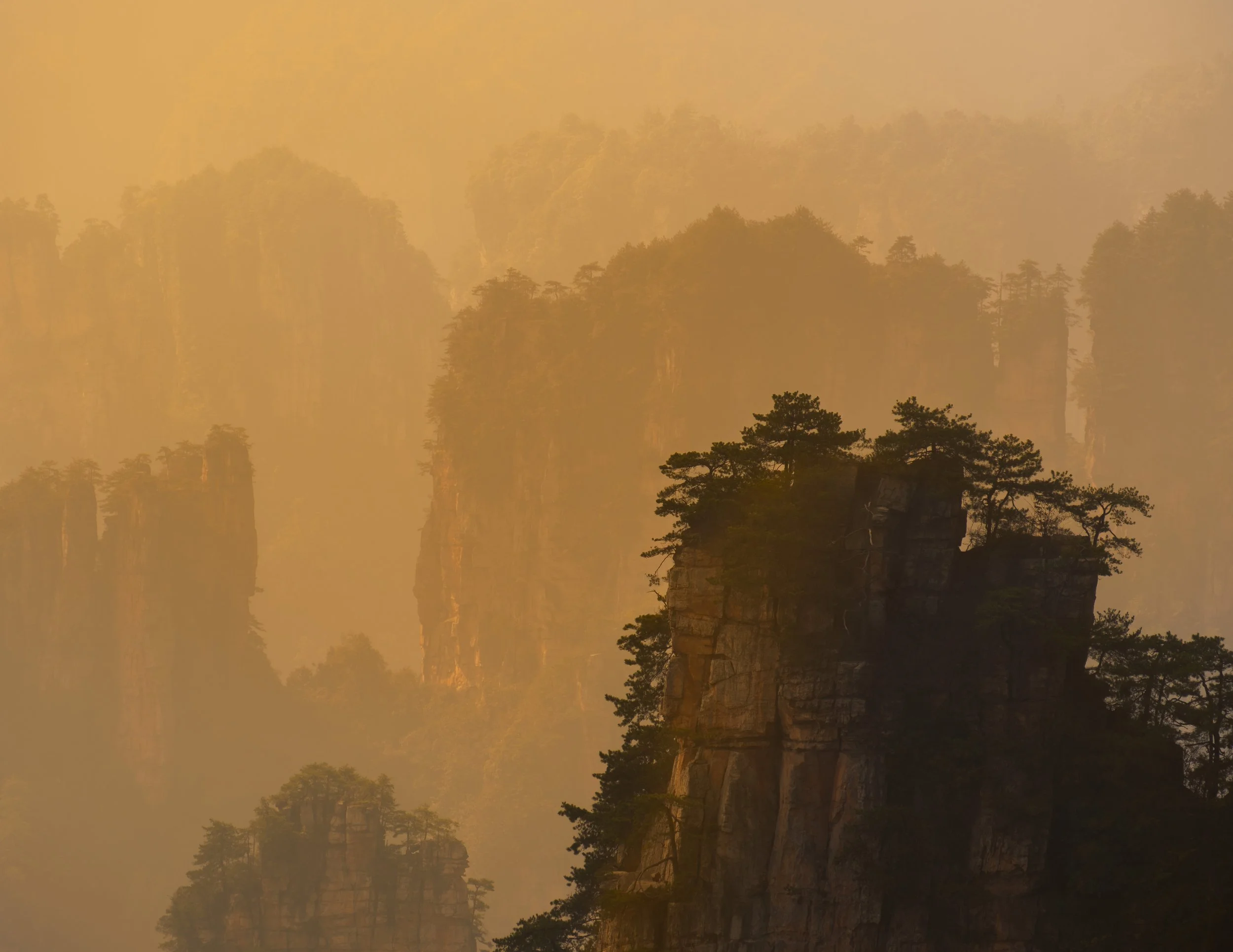 Day 21: Zhangjiajie National Forest Park, Saturday 11th October 2025