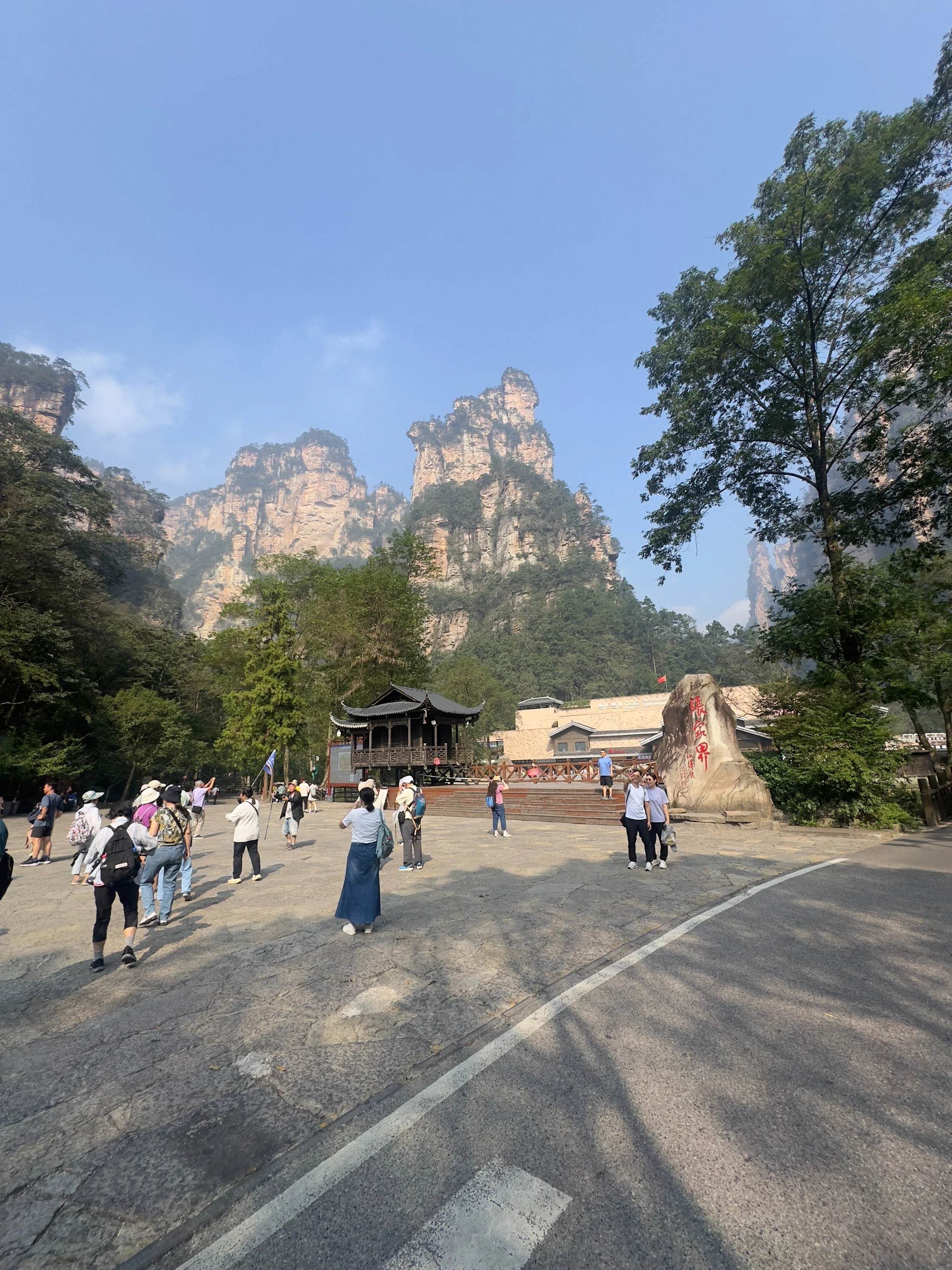 Golden Whip Creek entrance area