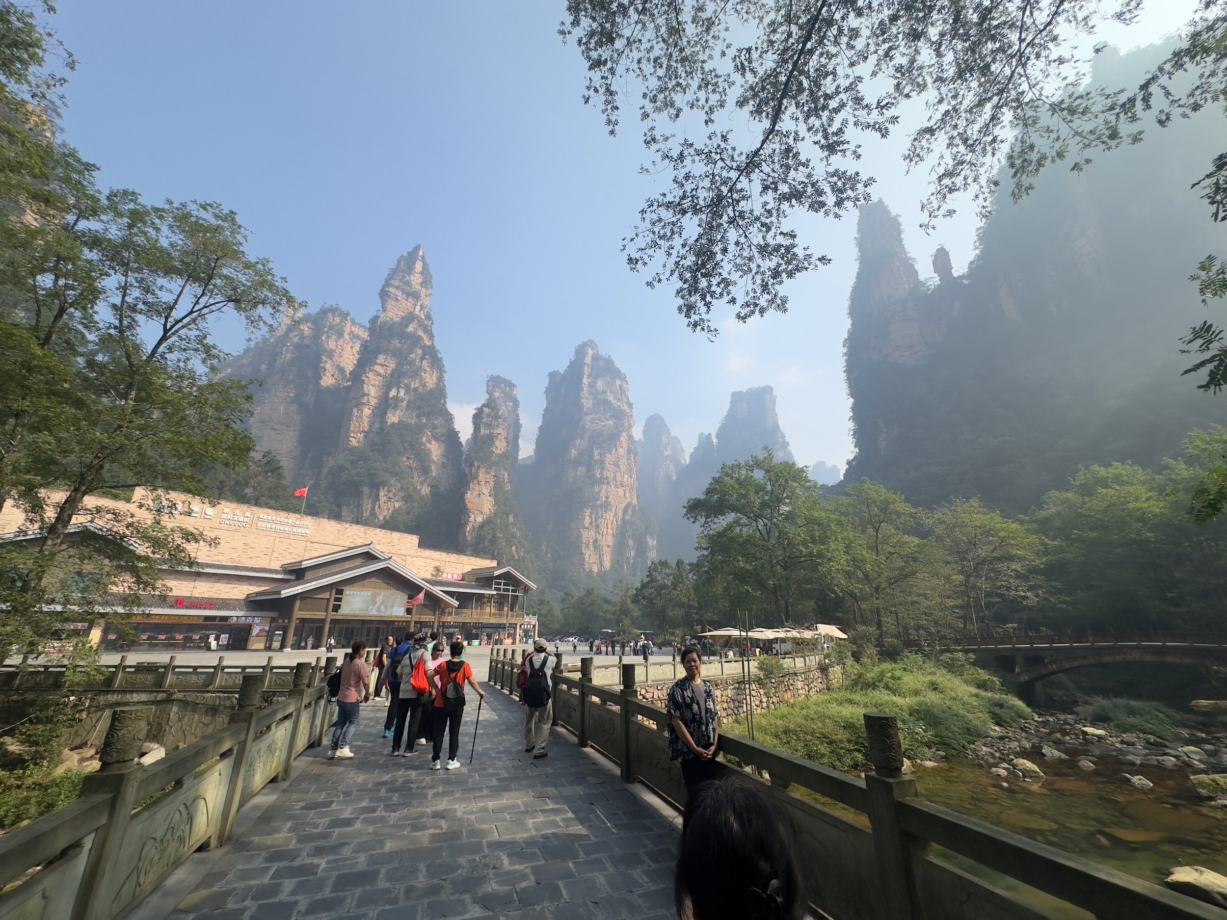 Golden Whip Creek entrance area