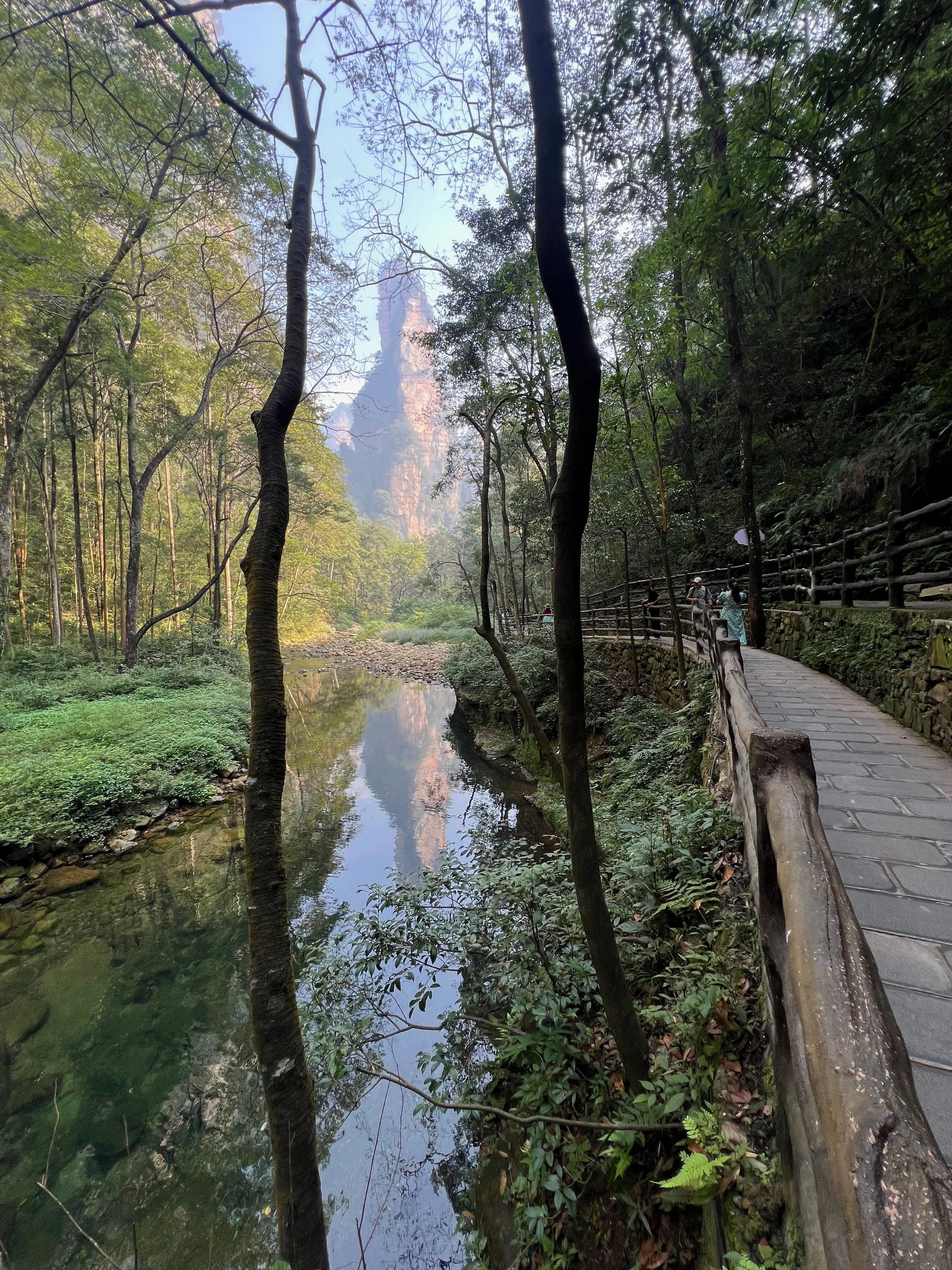 Looking back down the valley, Golden Whip Creek