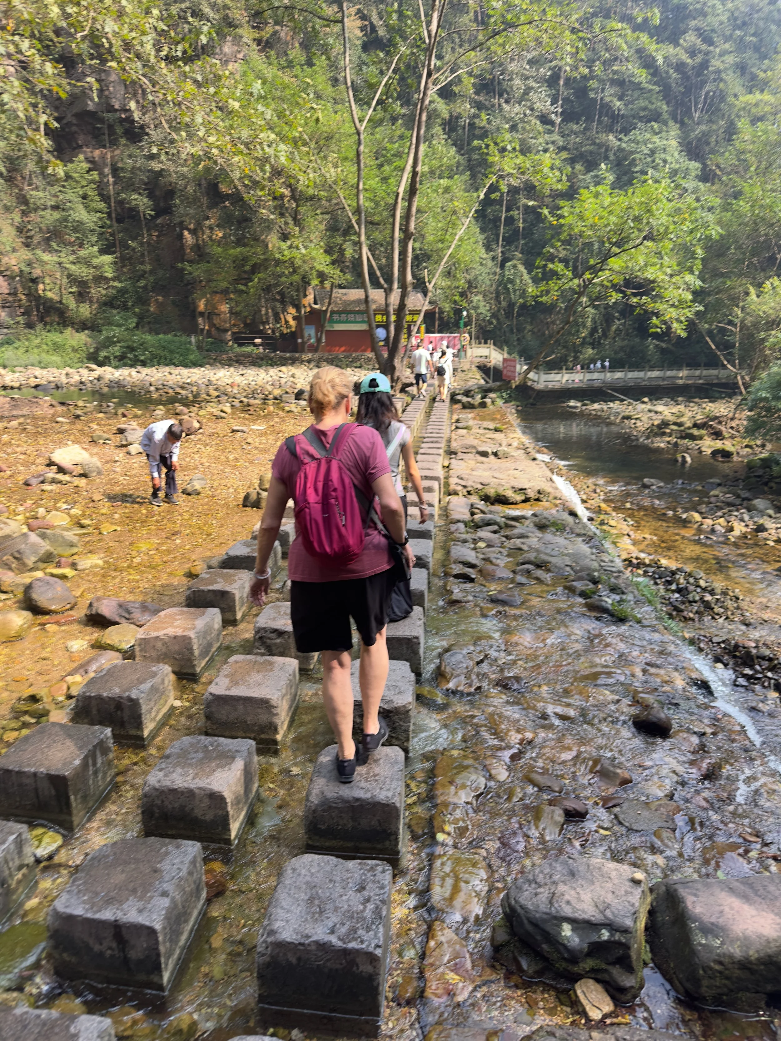 Crossing the creek to the visitor centre ( there was a bridge as well )