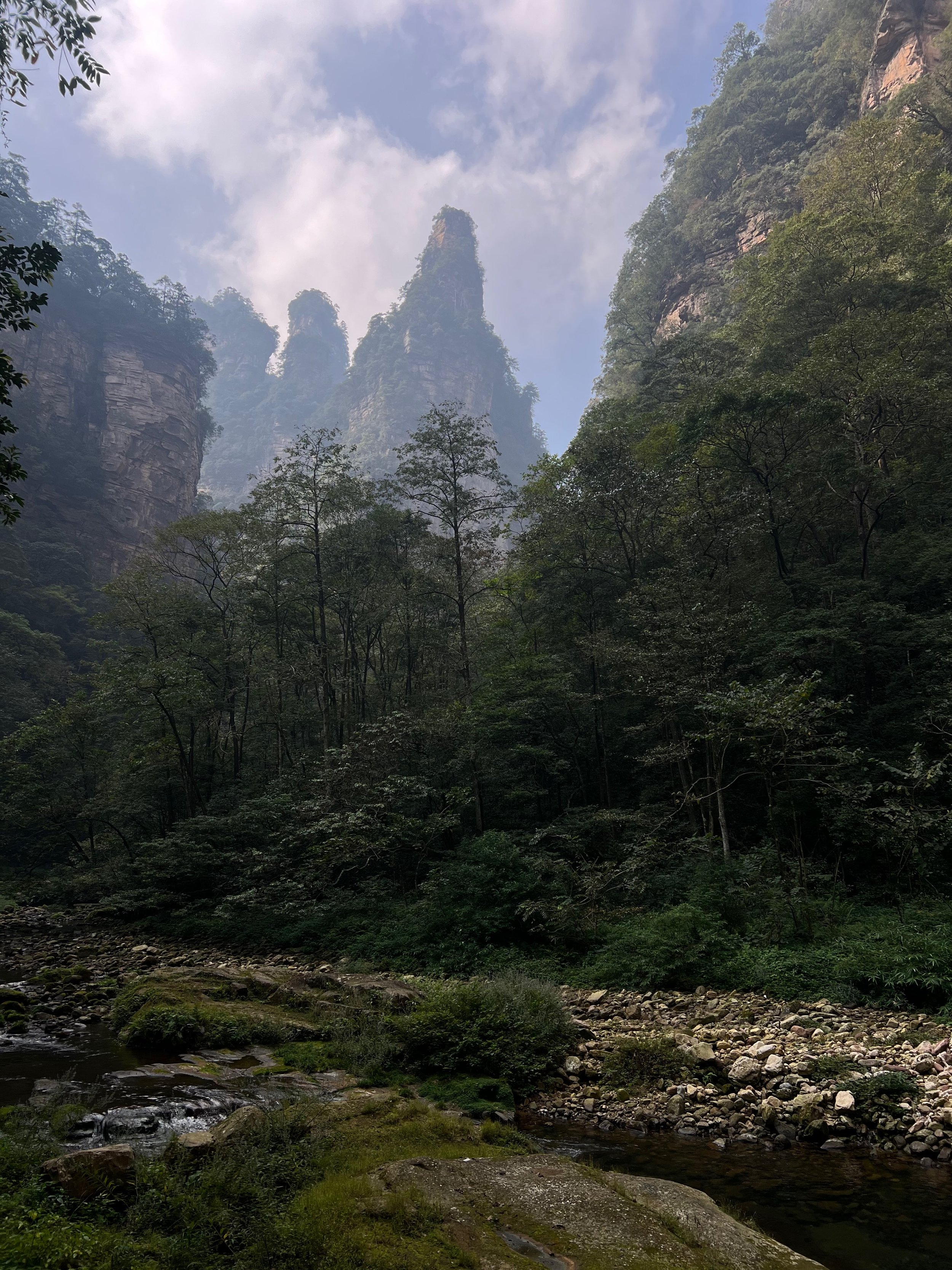 Looking back down the valley, Golden Whip Creek