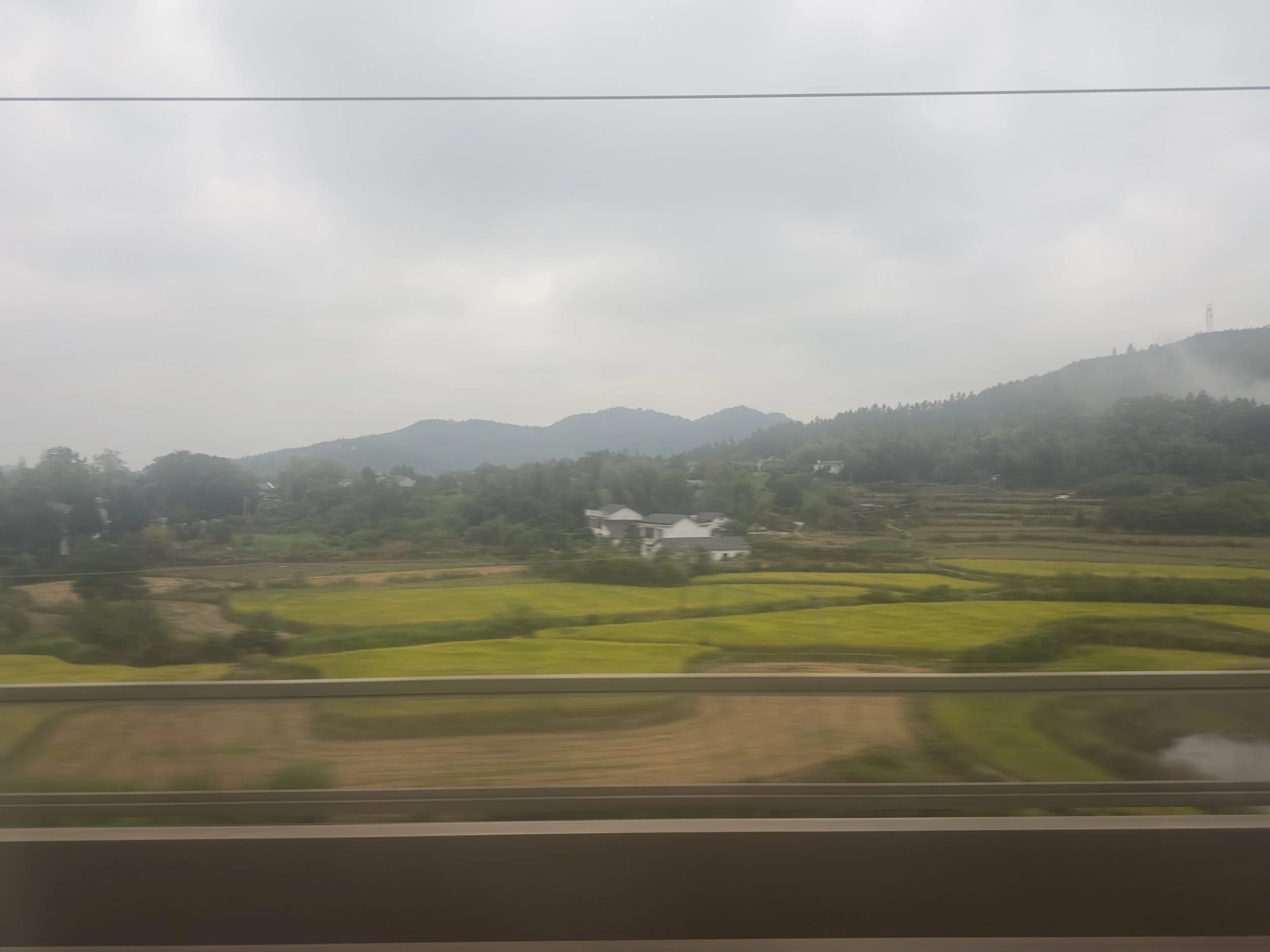 At speed in the gloom