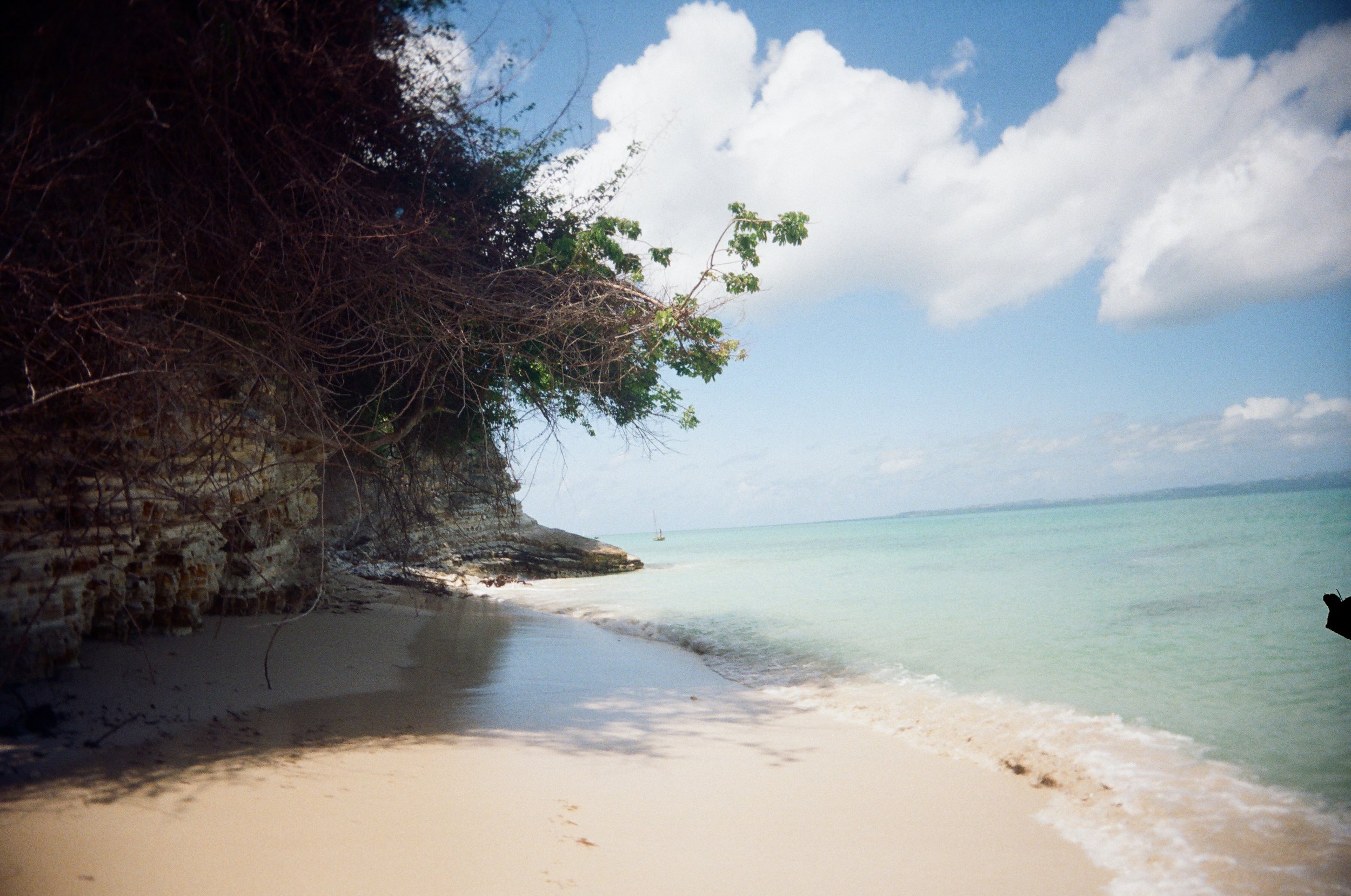 Photo by Axelle Baril